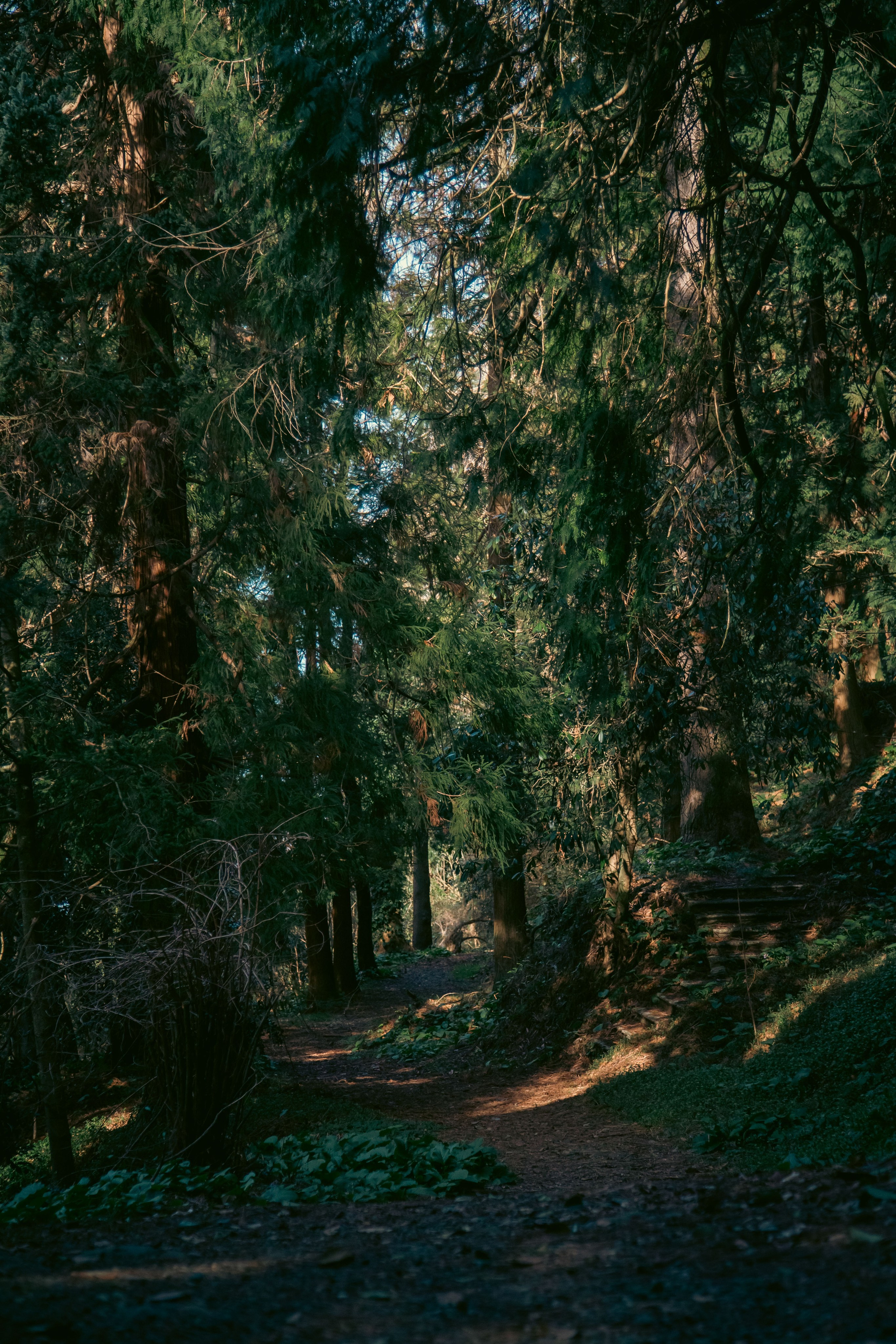 Batumi. Dmitriy [KCCC] is a pretty cool photographer