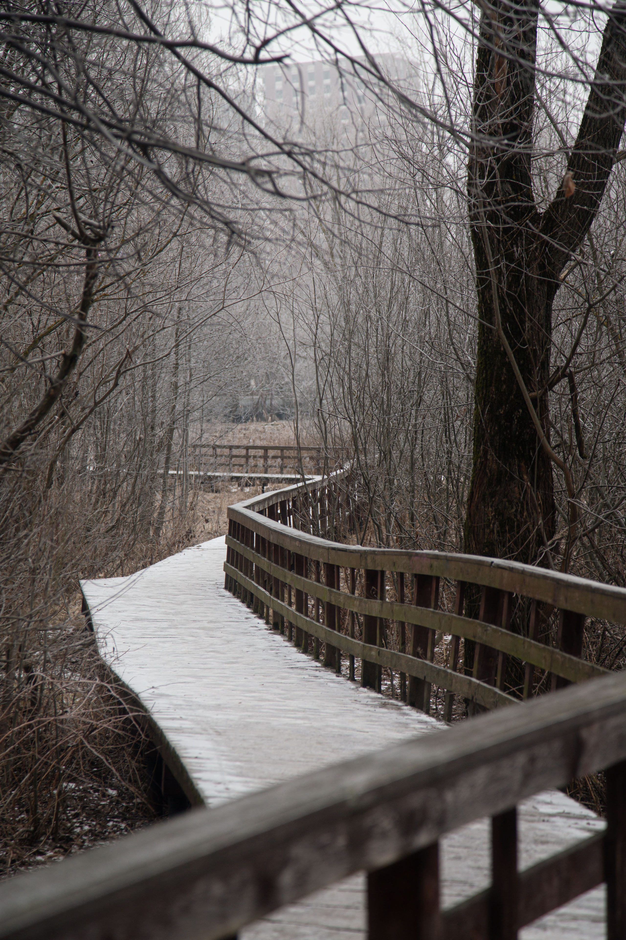 Воздух февраля. Dmitriy [KCCC] is a pretty cool photographer