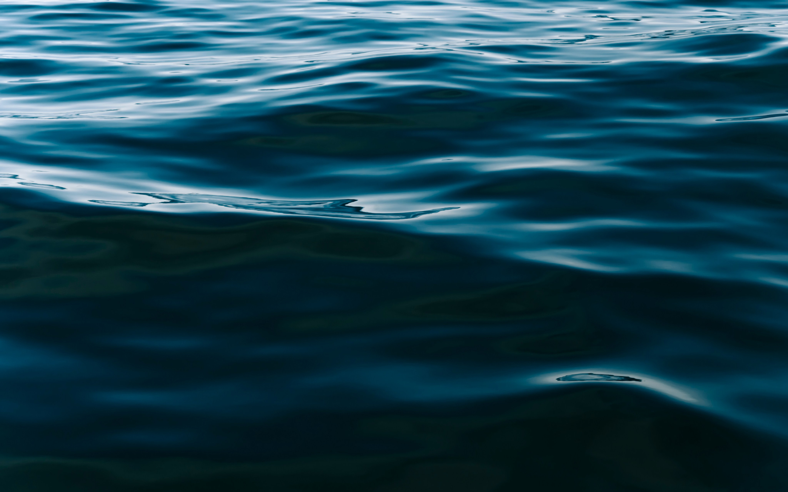 Принты для печати. Фотограф на Камчатке, съемки на природе