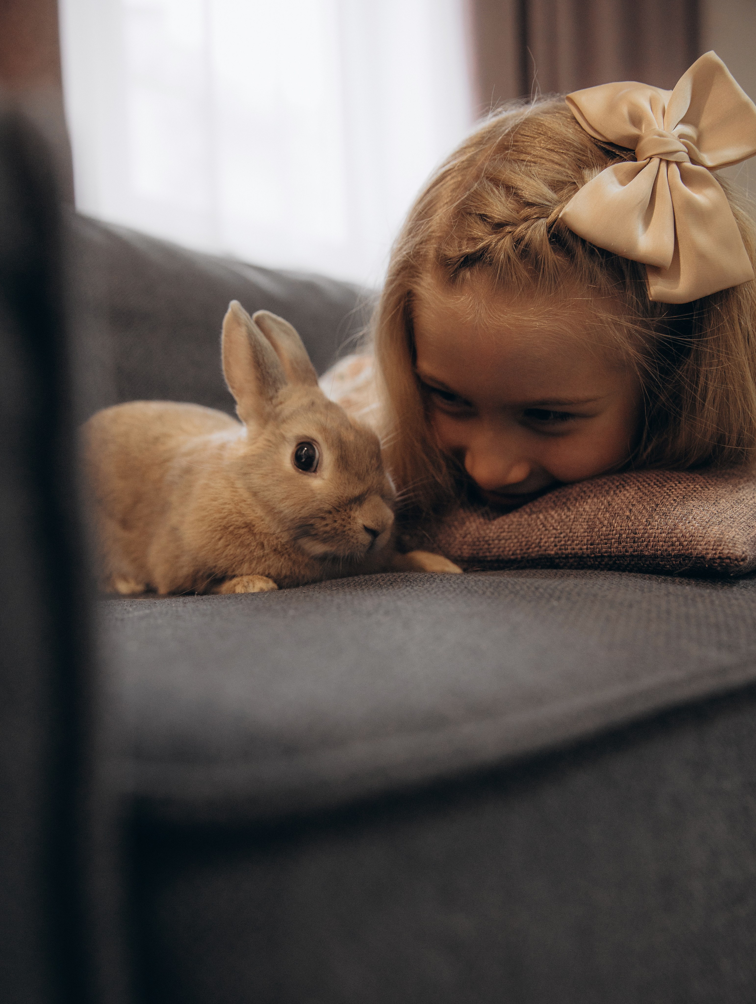 «Ушастые истории». Фотограф Алина Ионычева в Новосибирске