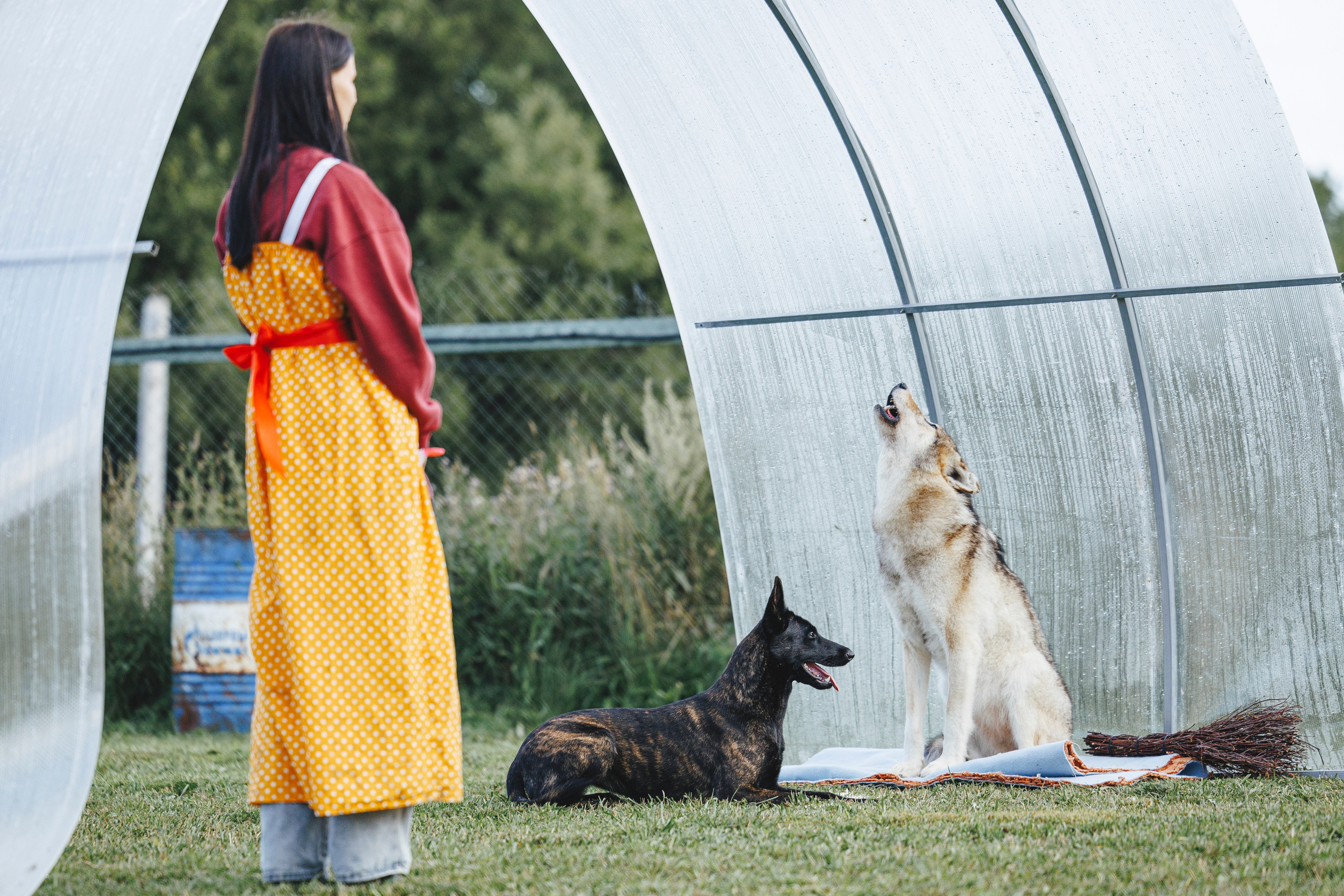 08.08.25-10.08.25 ЧР по мондьорингу г. Вологда. Фотограф-анималист Анна Маринич