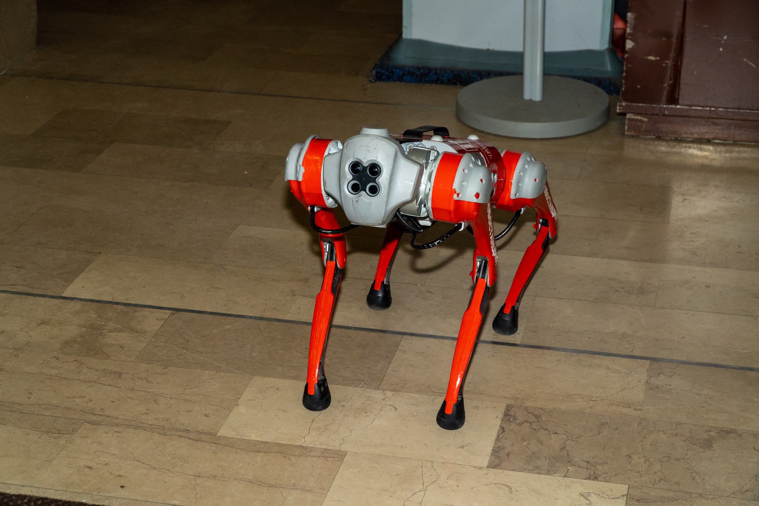 Съёмка концерта для Домисольки, большой концертный зал Космос. «Студия DRONAVT`s» — видеосъёмка и фотография г. Москва