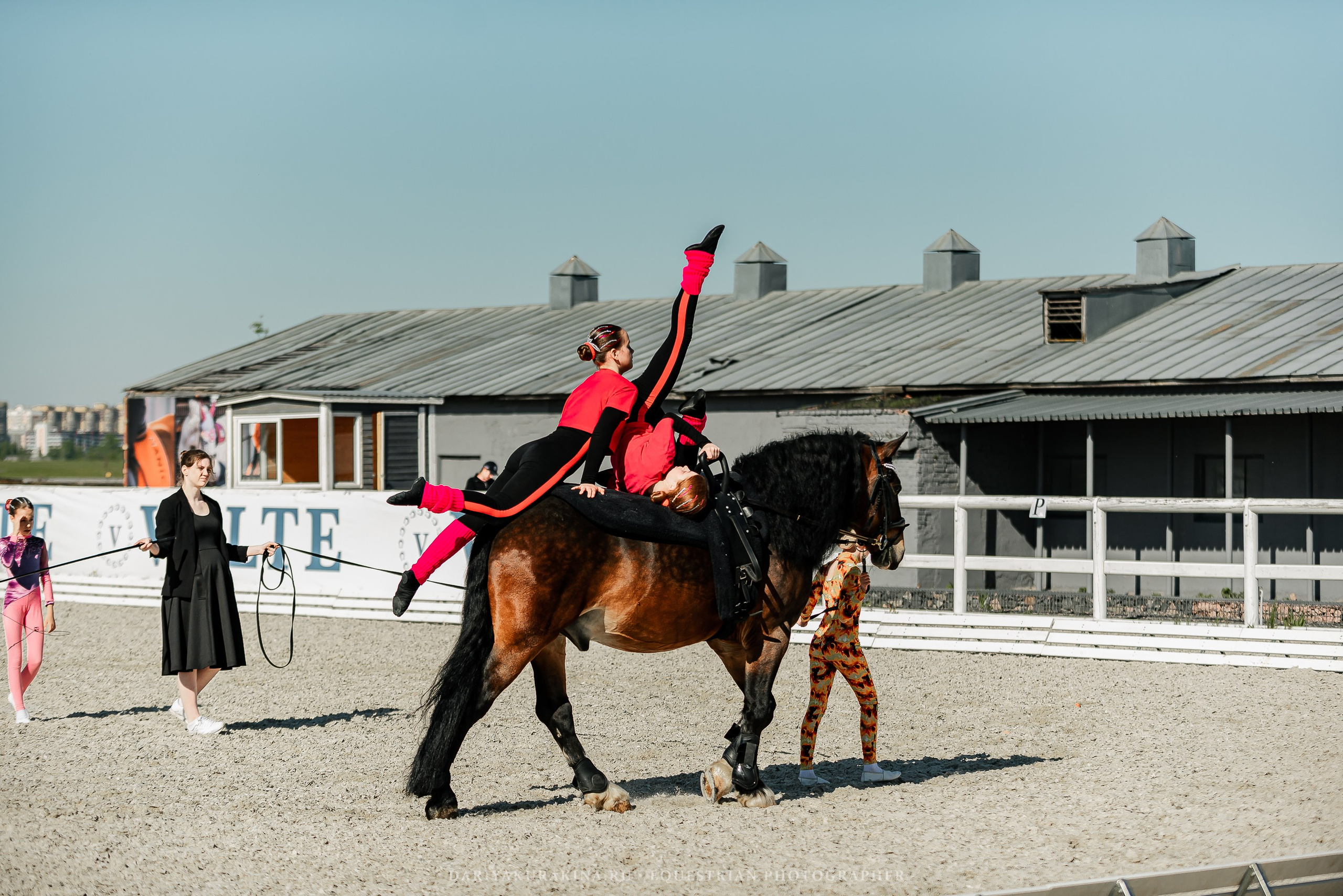 РЕПОРТАЖ МКК ВОЛЬТ «LA TULIPS». Конный фотограф Куракина Дарья • Фотосессии с лошадьми