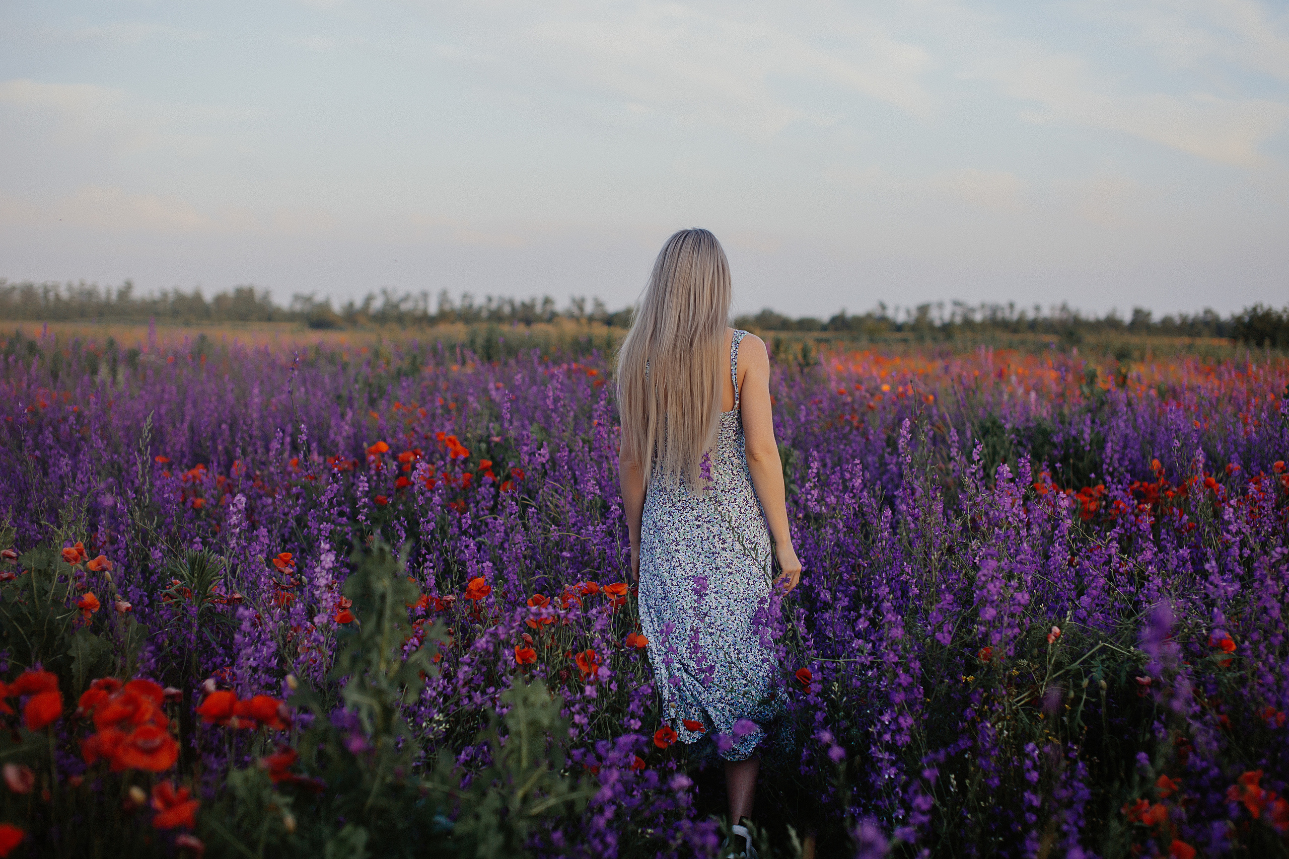 Фотосессия в поле. Свадебный и семейный фотограф/видеограф в Краснодаре Наталья Осинская