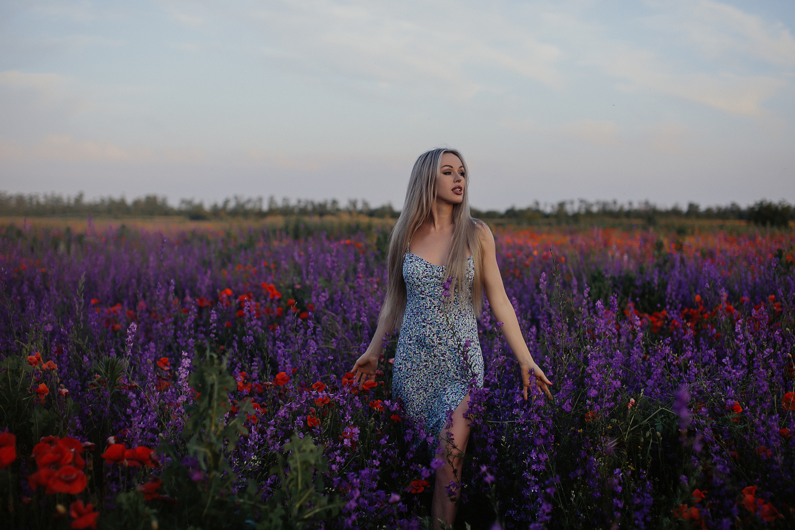 Фотосессия в поле. Свадебный и семейный фотограф/видеограф в Краснодаре Наталья Осинская