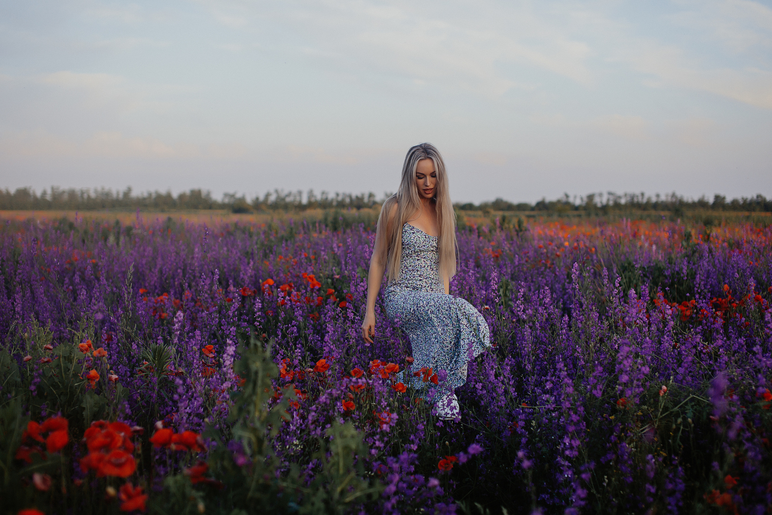 Фотосессия в поле. Свадебный и семейный фотограф/видеограф в Краснодаре Наталья Осинская