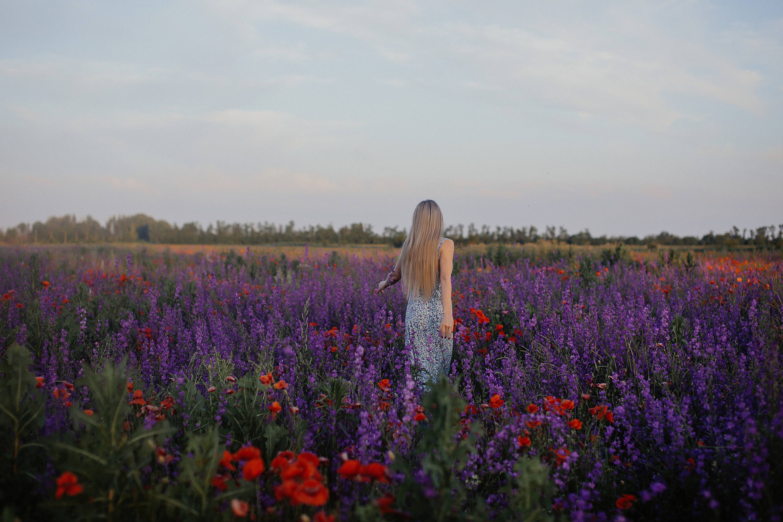 Фотосессия в поле. Свадебный и семейный фотограф/видеограф в Краснодаре Наталья Осинская