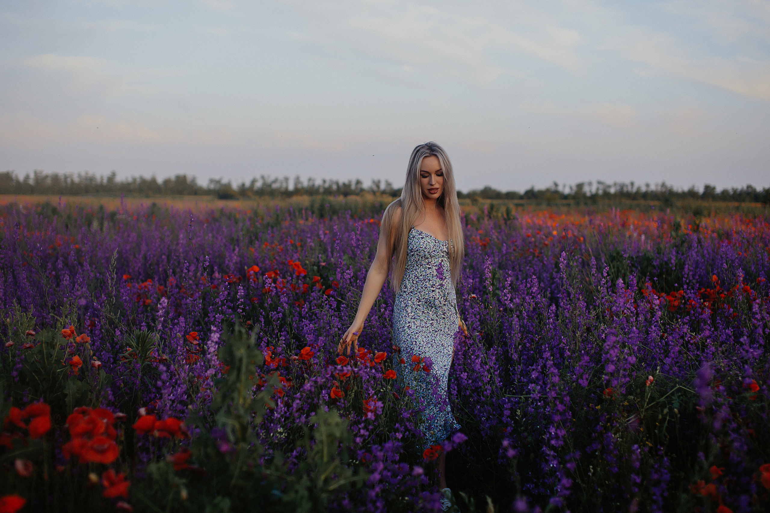 Фотосессия в поле. Свадебный и семейный фотограф/видеограф в Краснодаре Наталья Осинская