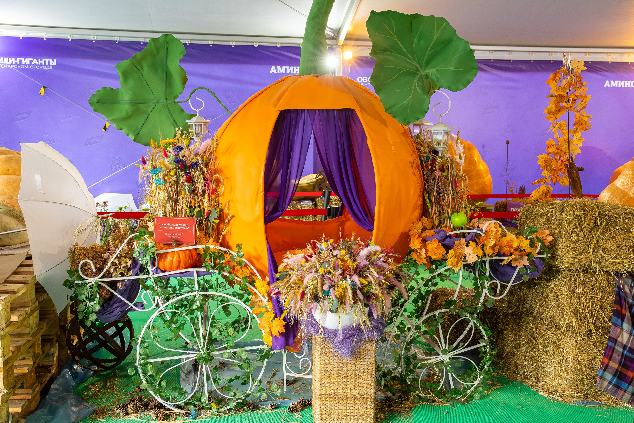 Овощи-гиганты. Александра Куликова фотограф, Москва