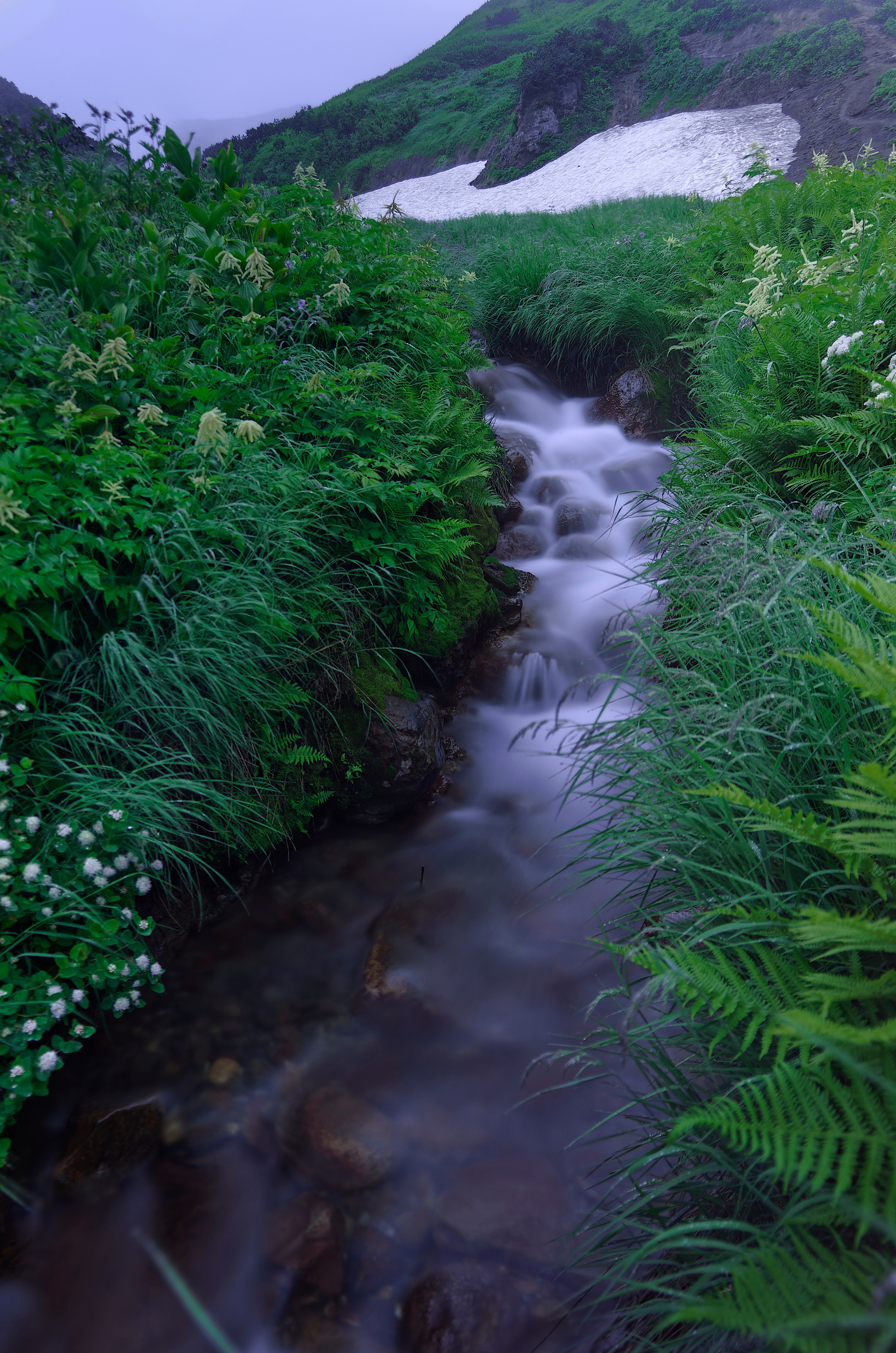 Камчатка. Фототрип. Тур?. Семоха Валерий. Фотограф