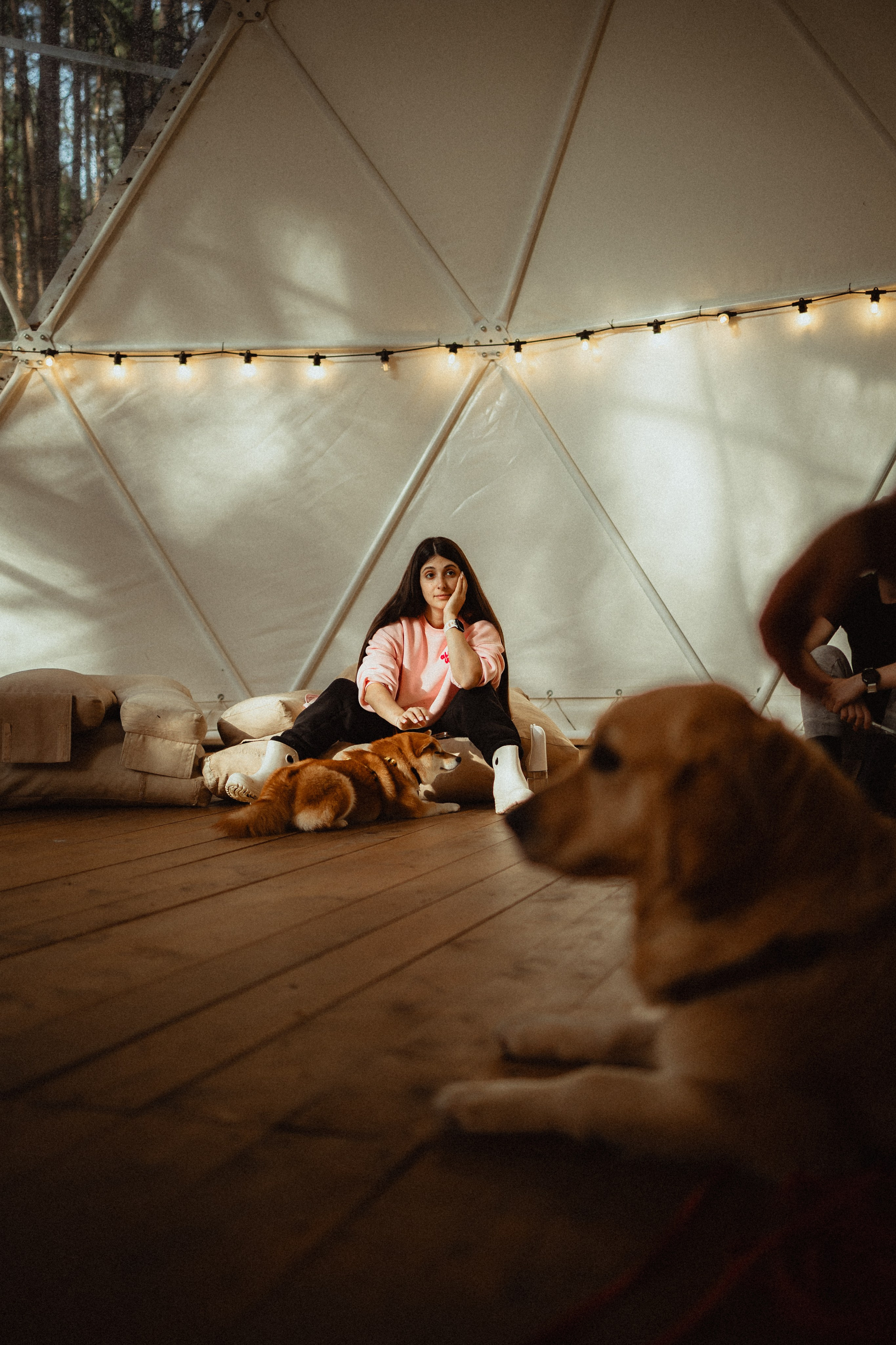 Выездной дог-тренинг от школы «Шерсть имею»