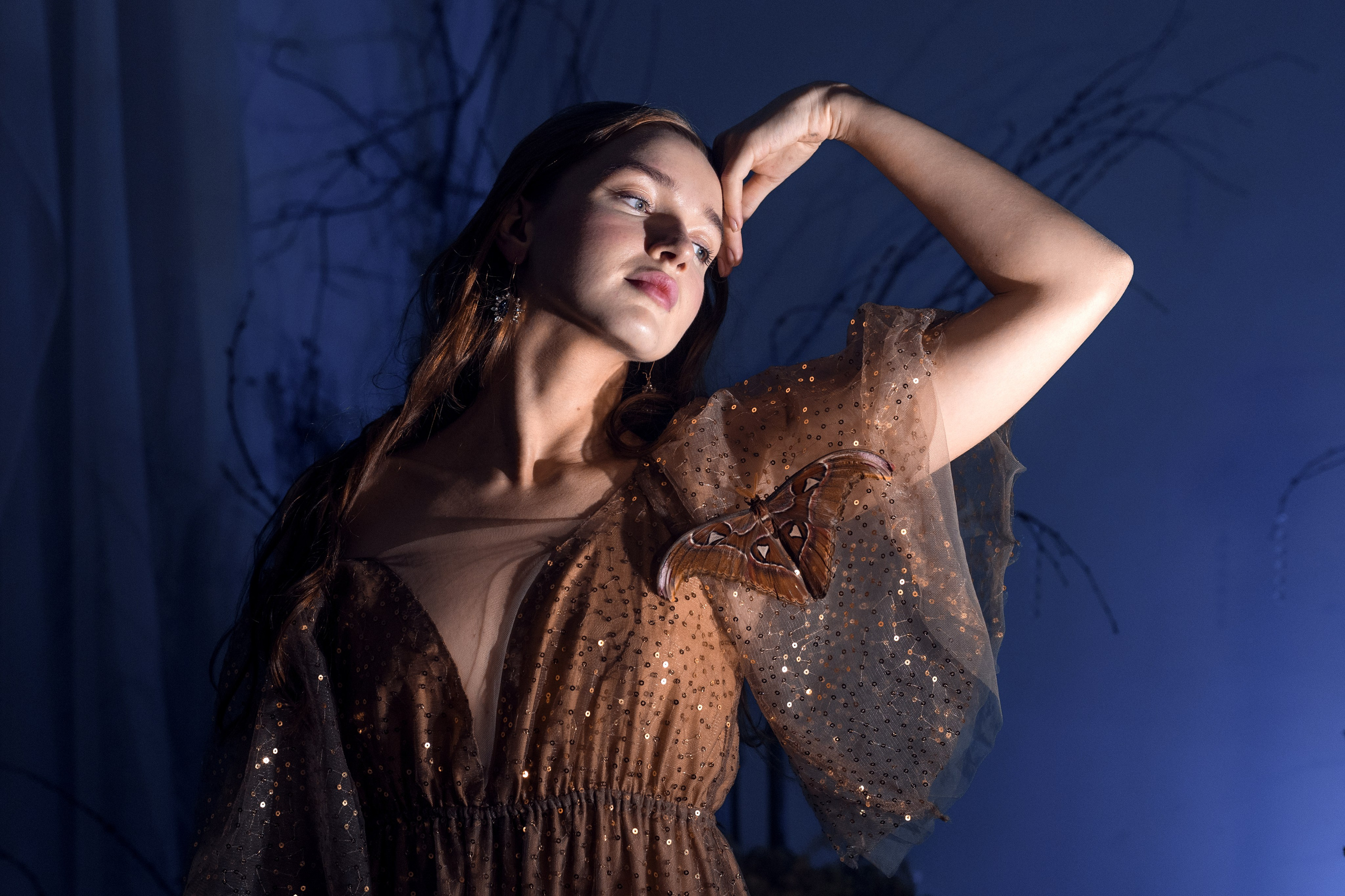 Фейский Альбом