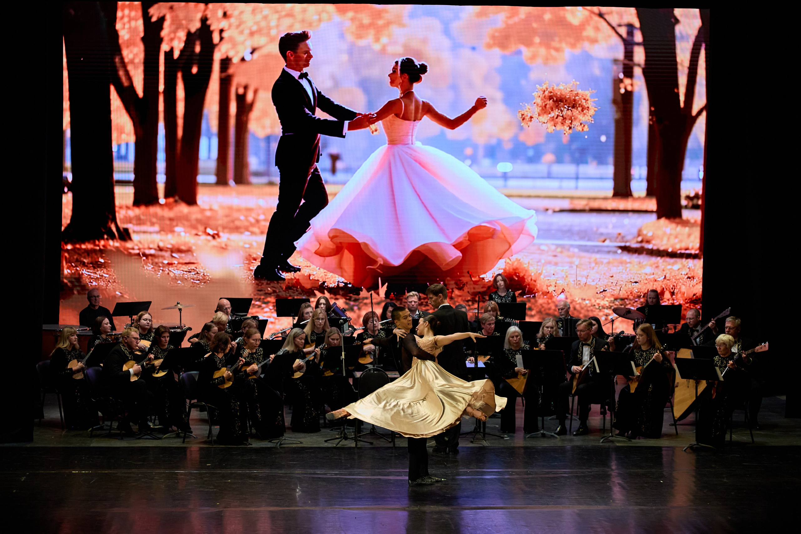 Филармония «Вокруг света в ритме танца». Фотограф Илья Прохоров в Кирове