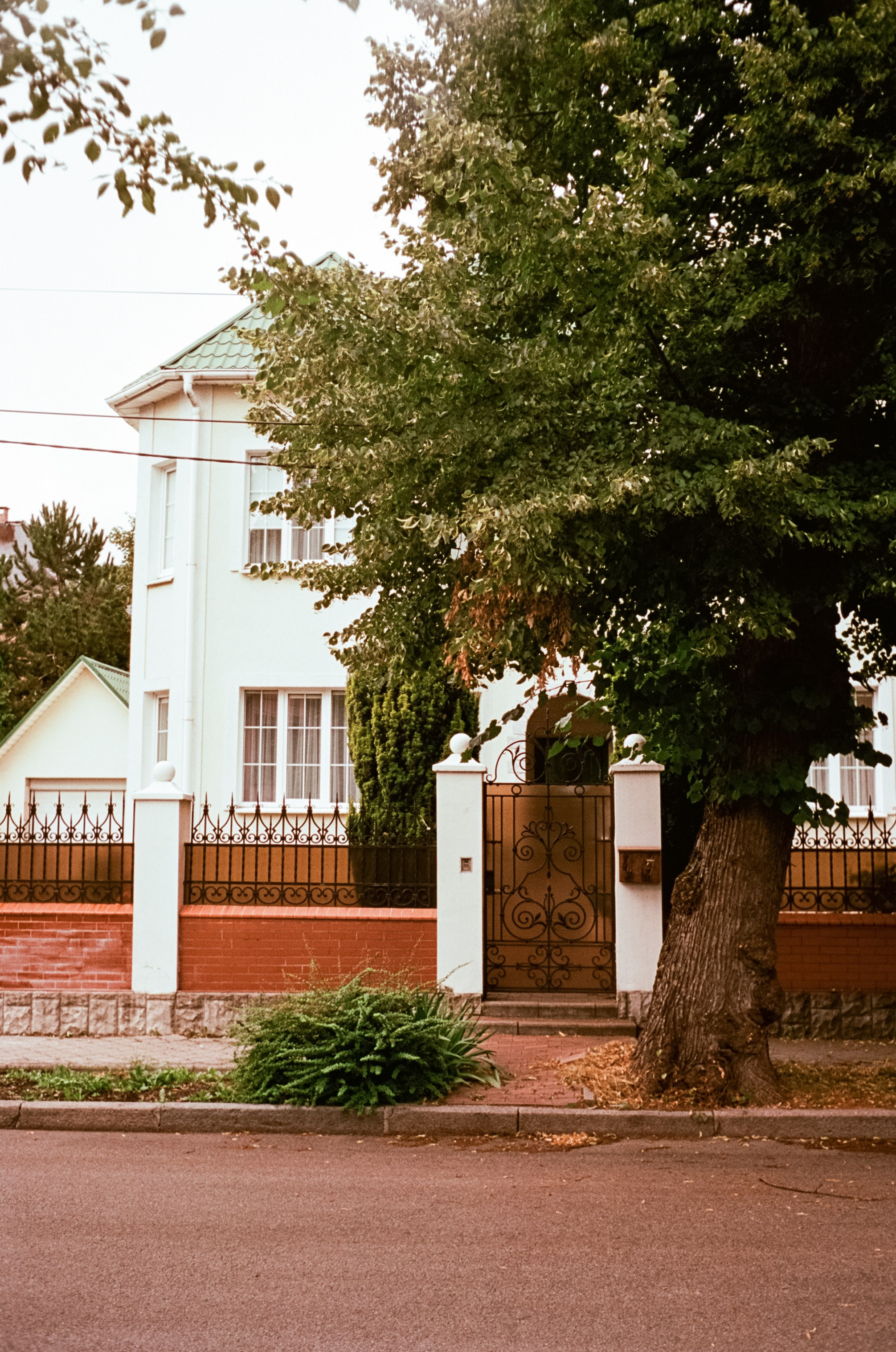 Калининград в солнечный день 7 июля 2024 года / Aerocolor IV / Minox 35GT (2)