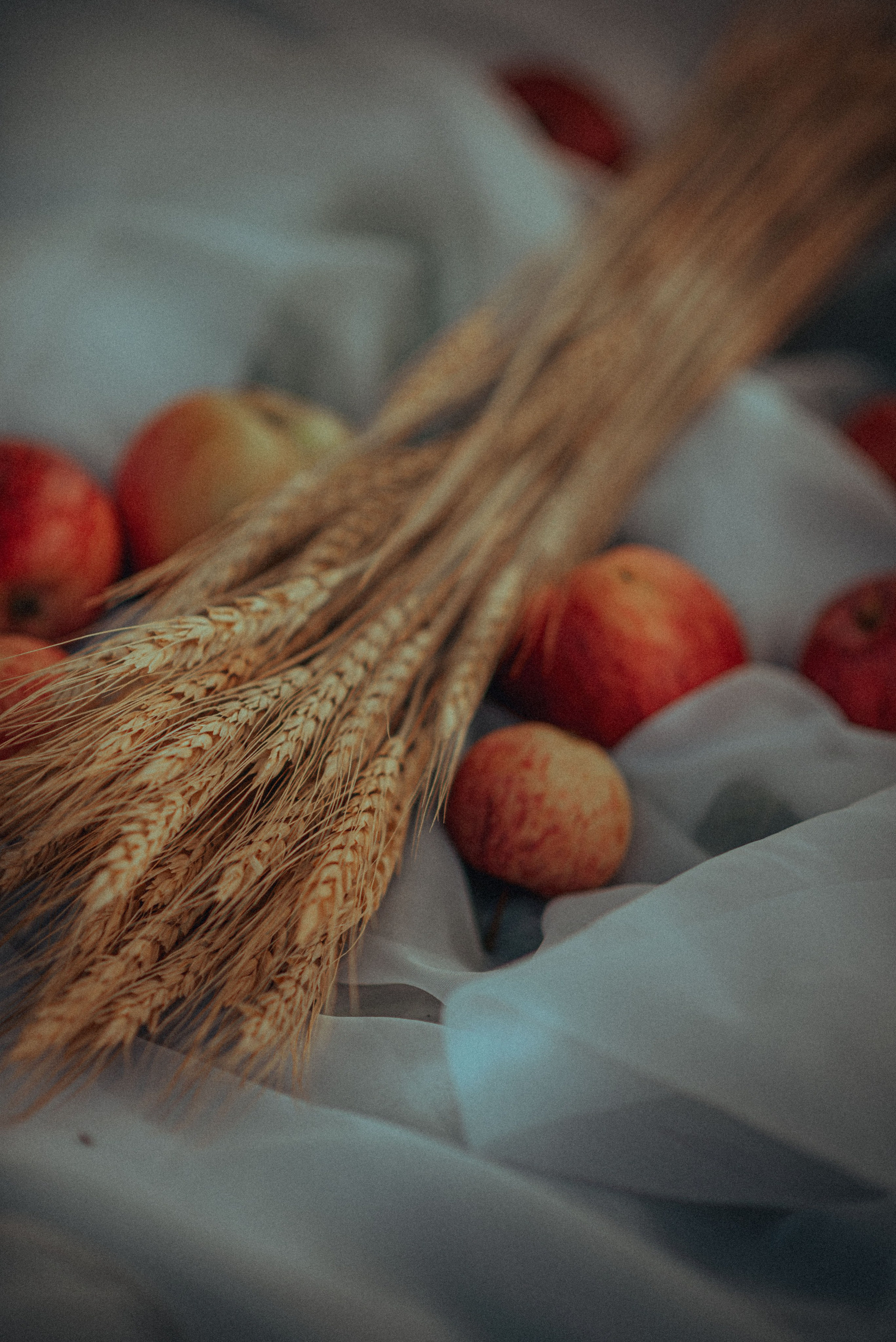 Вика. Свадебный и портретный фотограф lifestyle