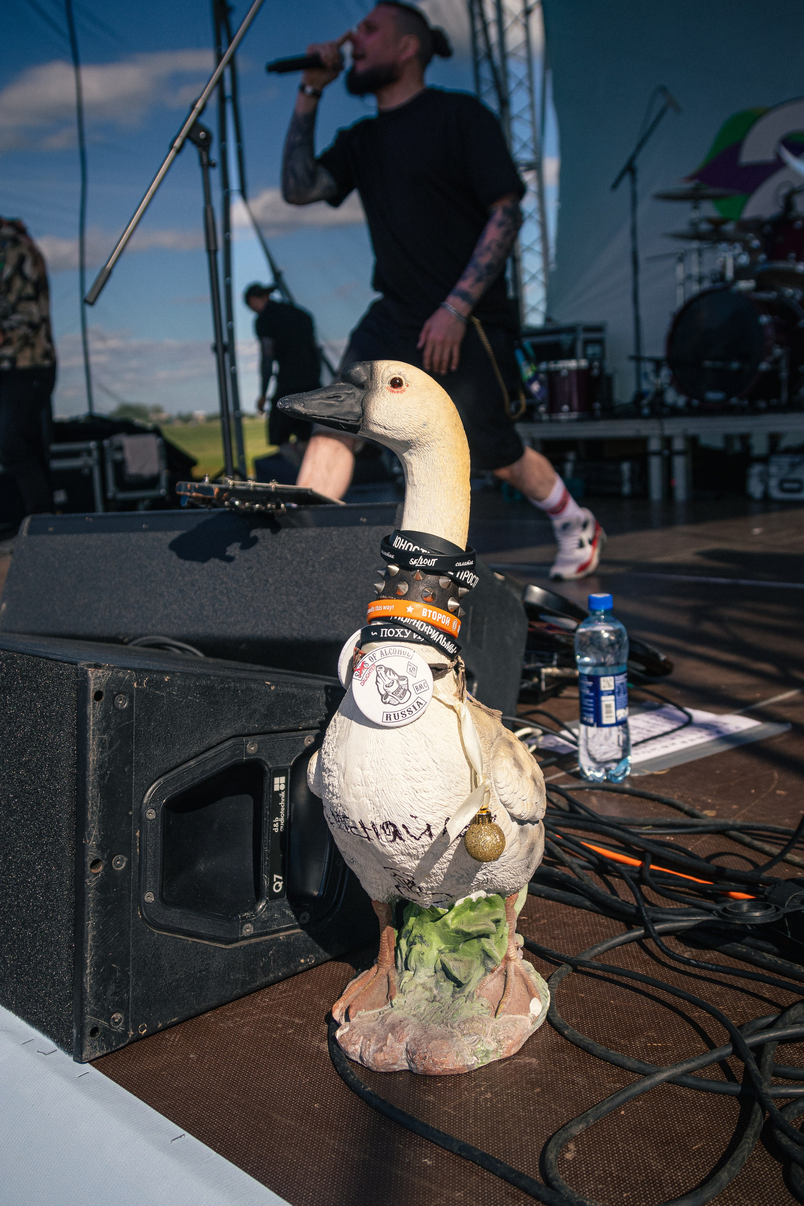 Фестиваль в Архангельске 29 Fest. Портретный и пейзажный фотограф Никита Павлов