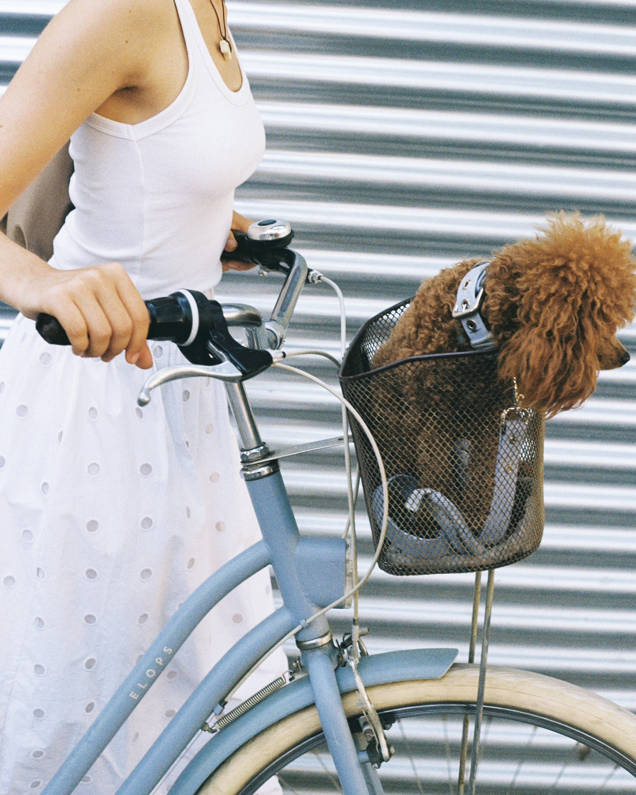 Personal. Photographer Anastasiia Kishinka