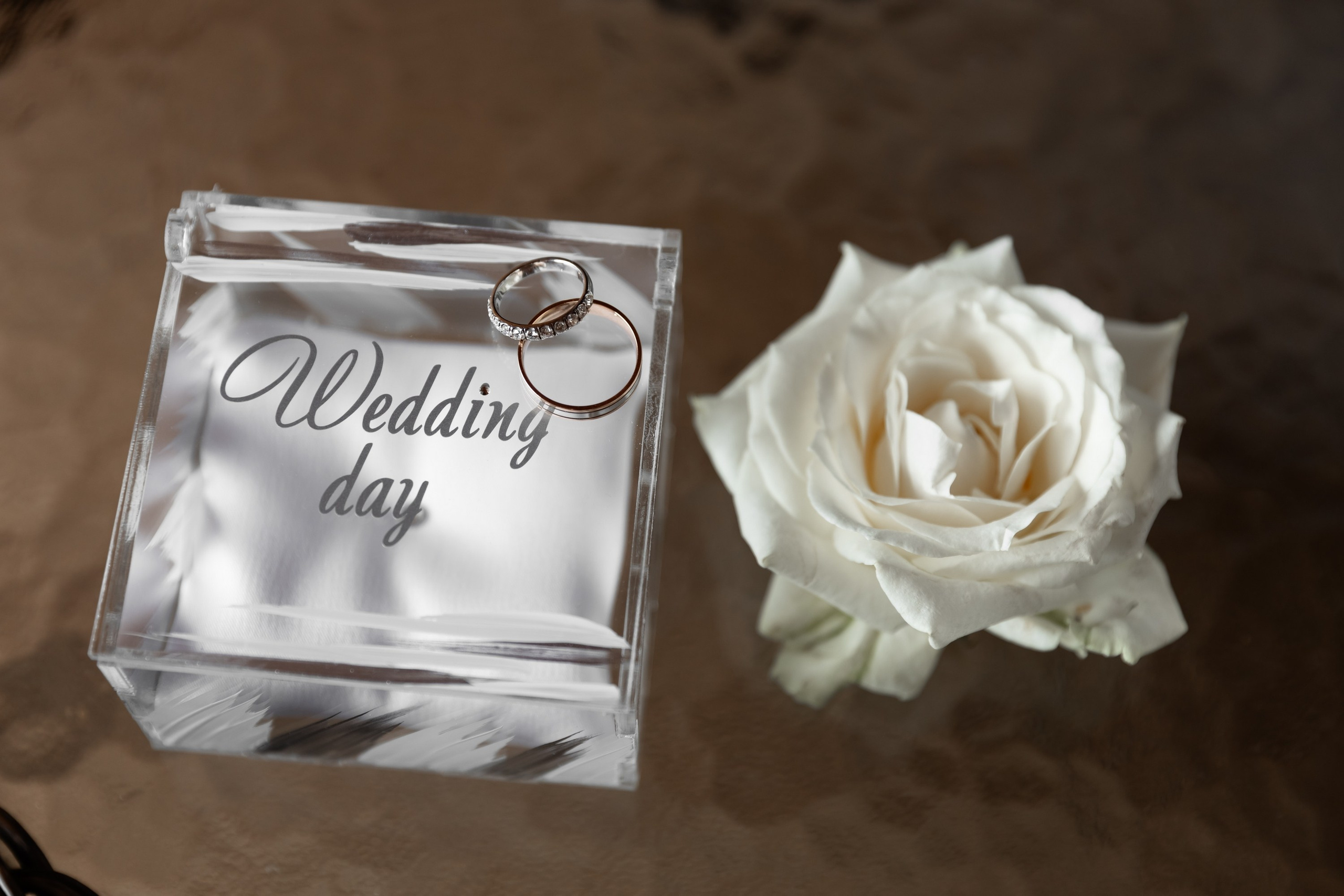 Герман и Анастасия (Artiland). Татьяна Чернышова свадебный фотограф Москва