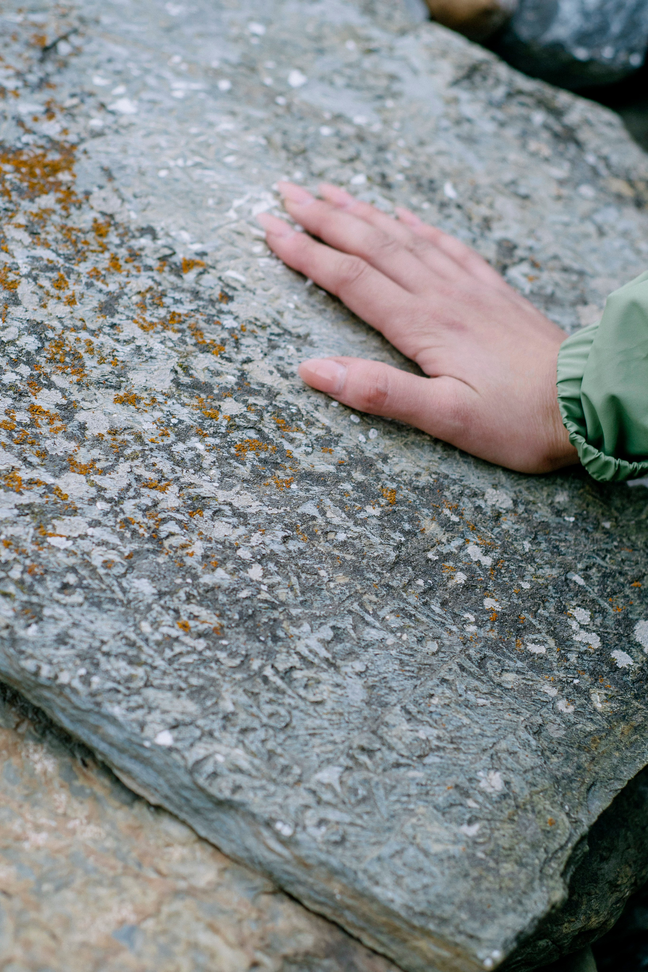 Annapurna trek. Iraogo