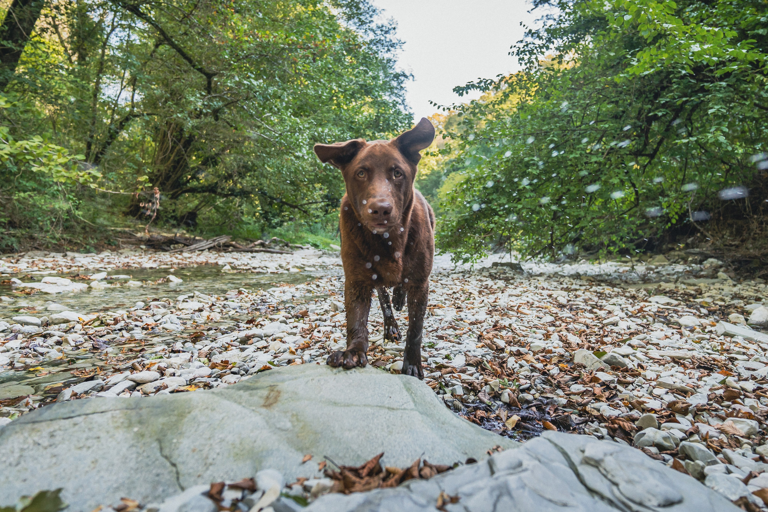 Поход на Полковничьи водопады АСК 26.09.23. Репортажный фотограф в Краснодаре Рындин Дмитрий