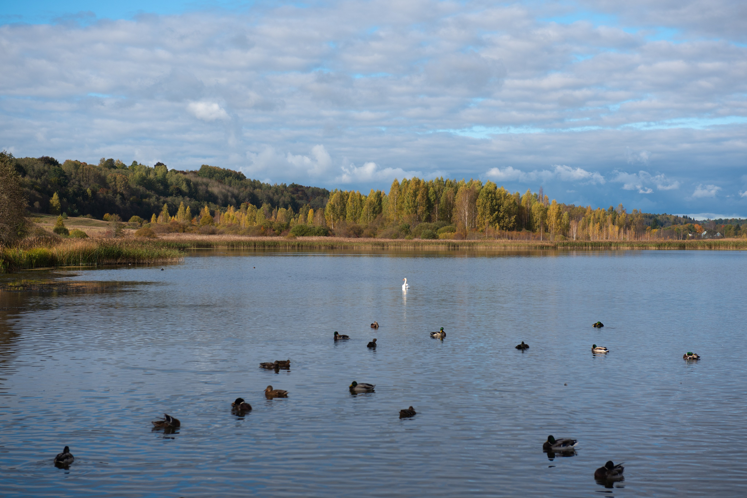 Изборск. Портретный и архитектурный фотограф в Москве и Санкт-Петербурге