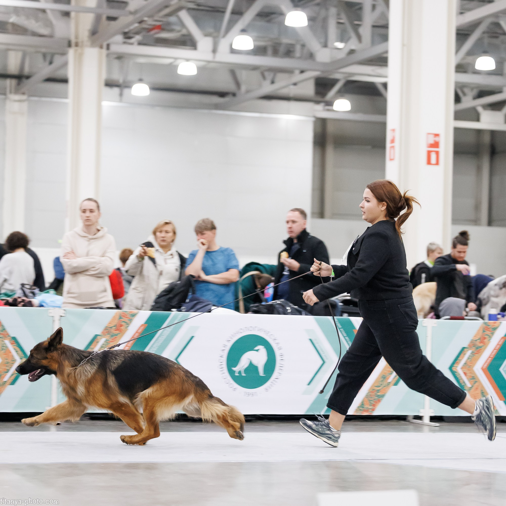 «Евразия-2025»: картинки с выставки. Фотограф собак, фотограф-анималист Аня Титова (Titanya). Москва
