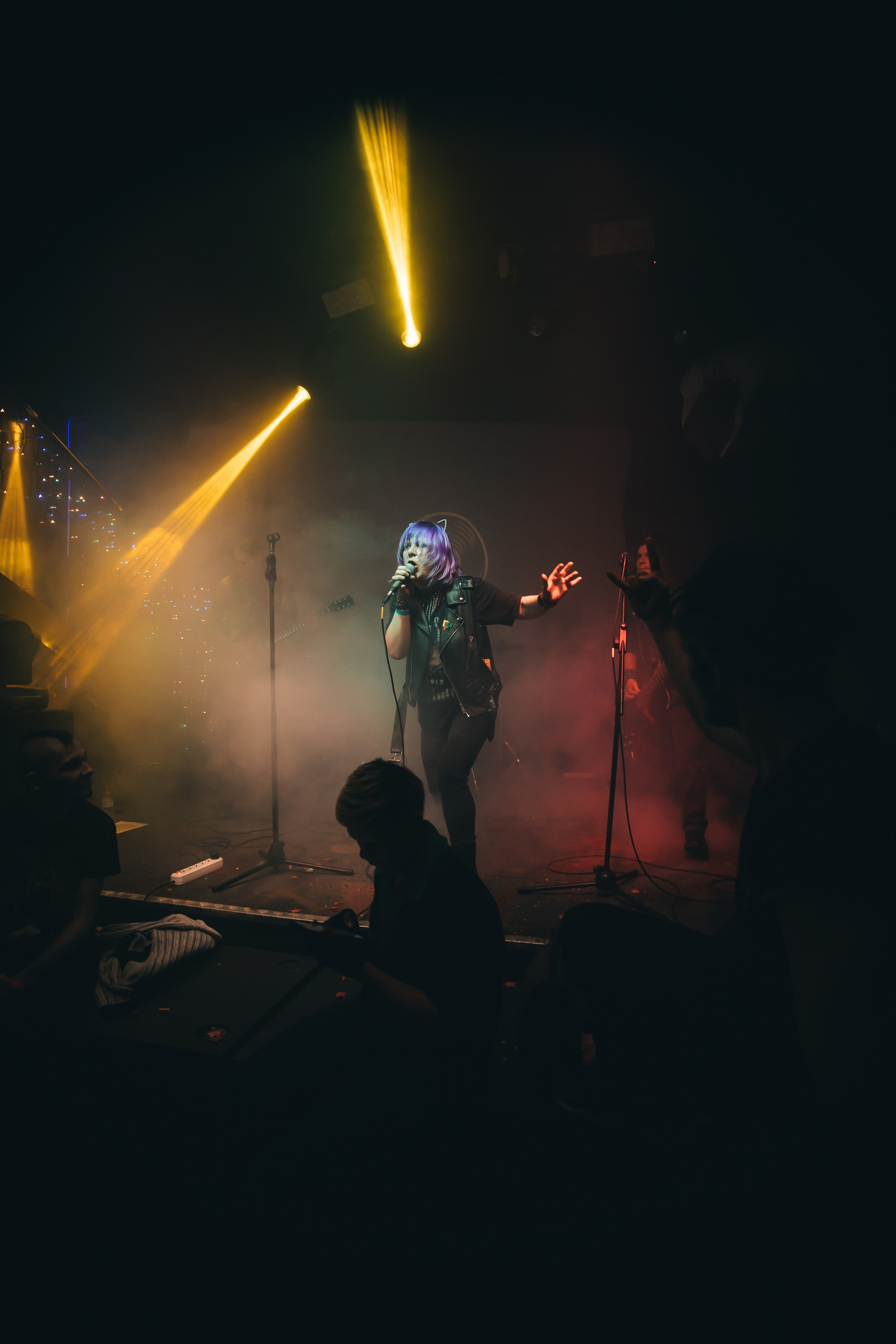 Забытые сны. Рок-ёлка, клуб-галерея Эрмитаж. 21.12.2024. Фотограф Регина Крикунова г. Красноярск