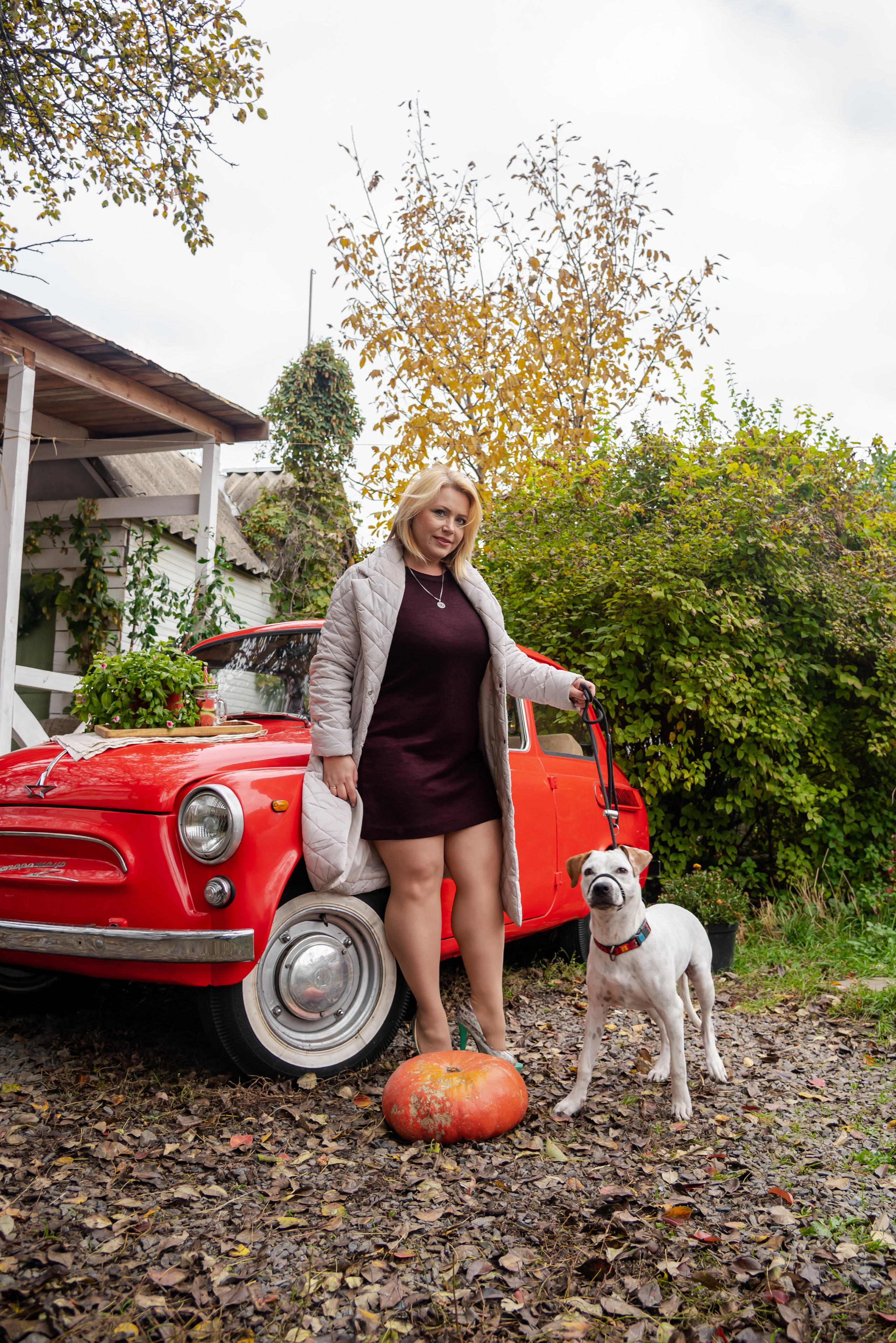 Авакадо. Фотограф Галина Нестерова