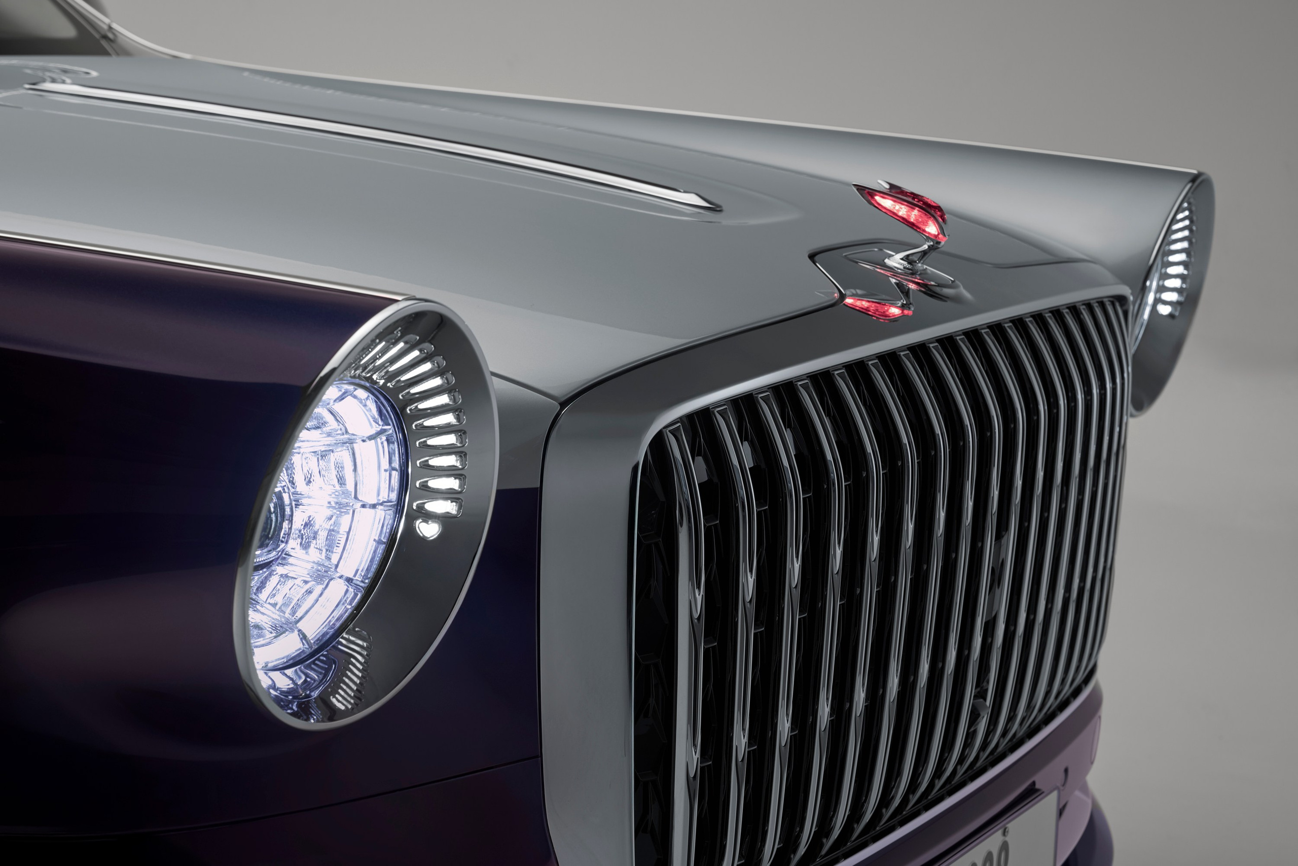 Hongqi Golden Sunflower. Creative photographer Denis Klero