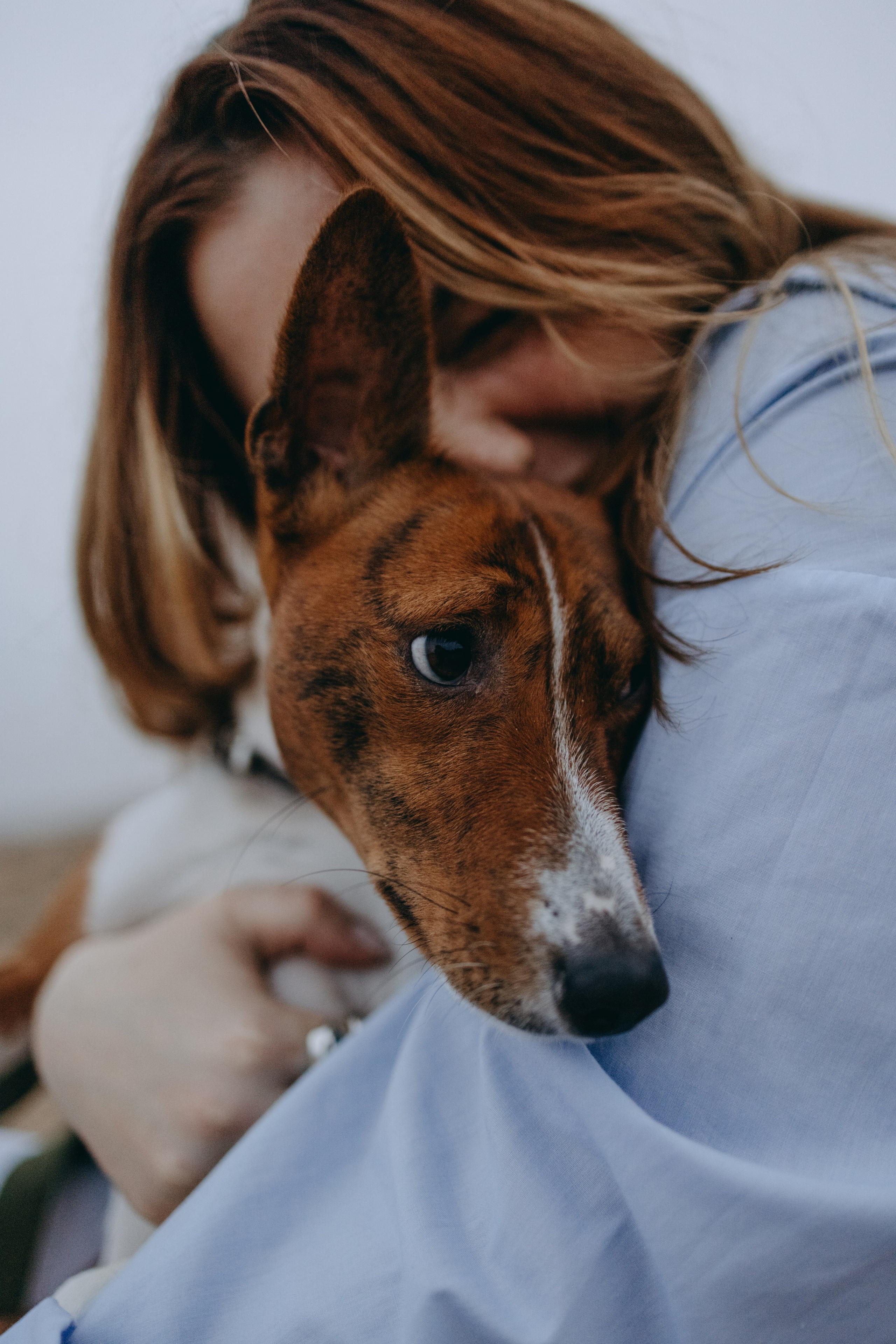 Даша и Арчи. Фотограф — Анималист | Санкт-Петербург