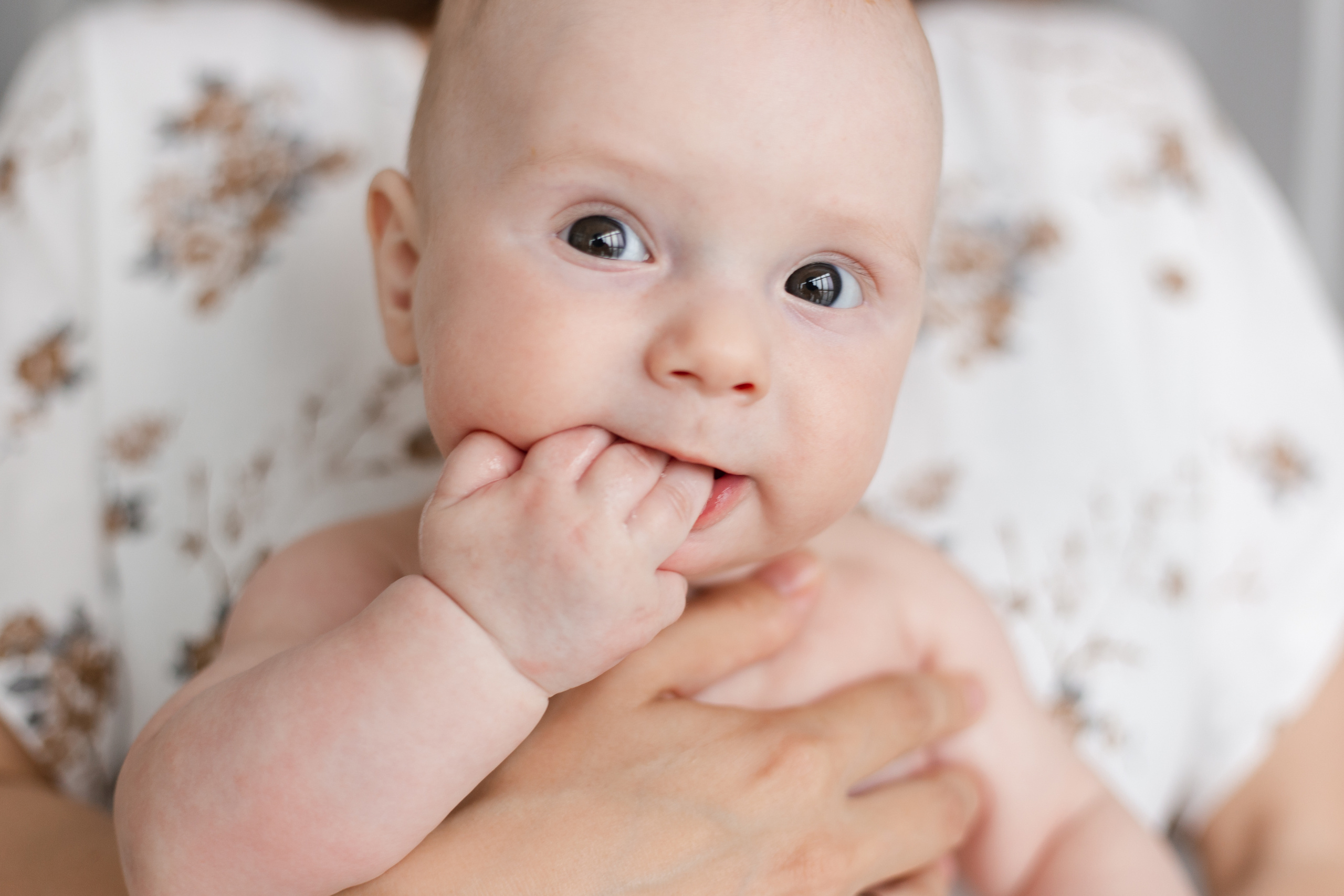 Семейные фото. Фотограф Александр Чешуин