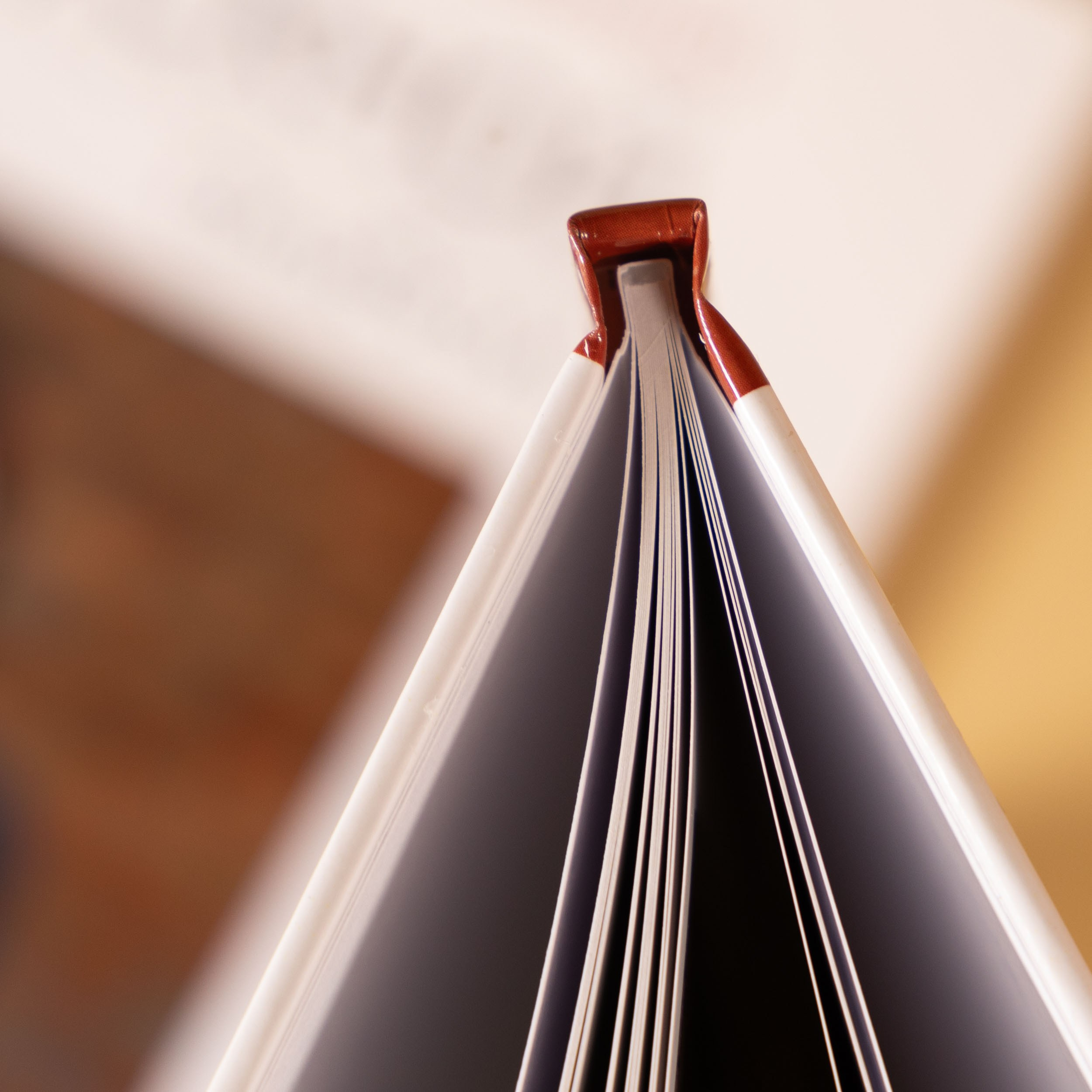 Переплет выпускного альбома из Вологды.