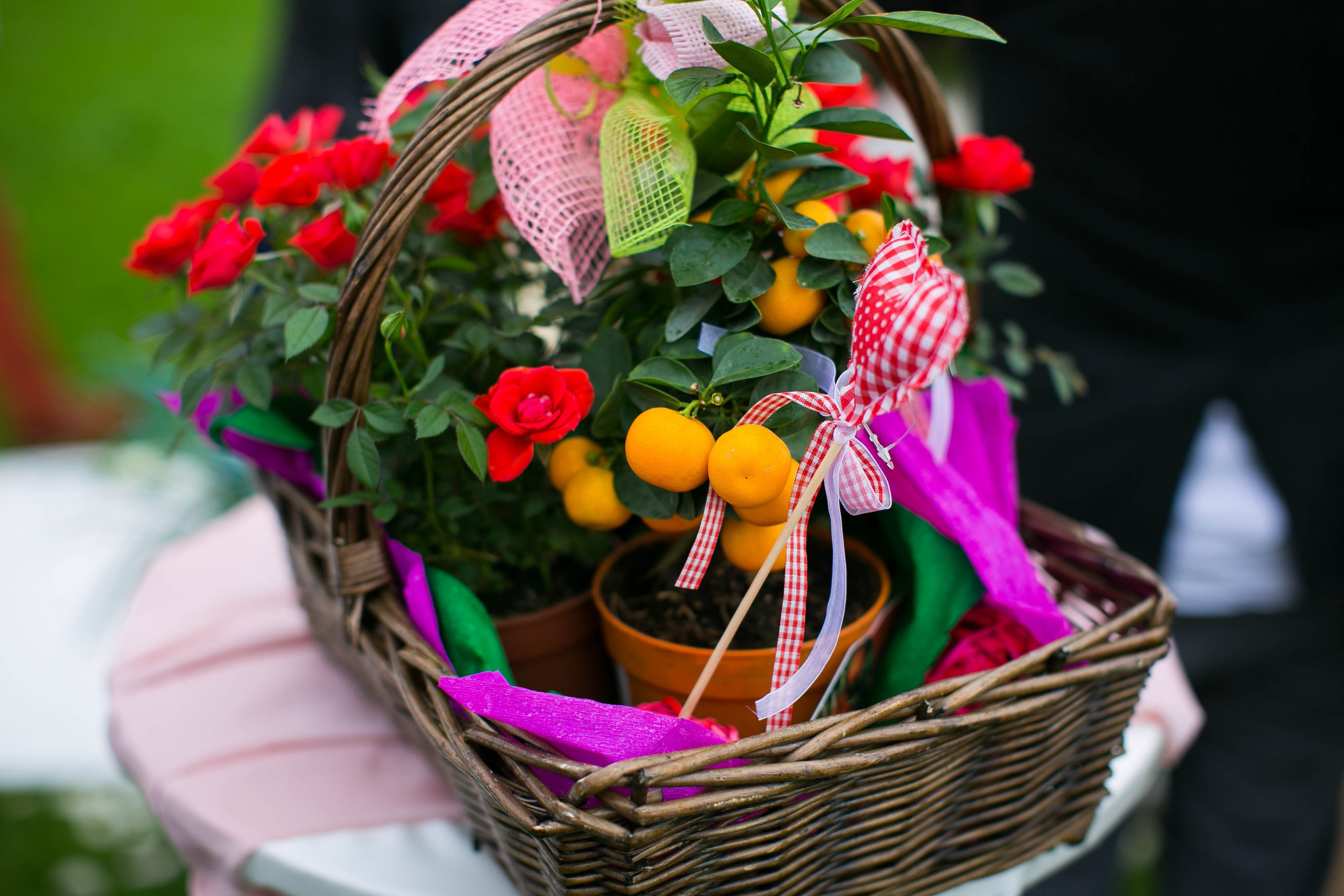 Андрей и Катя. Снимаю съемки