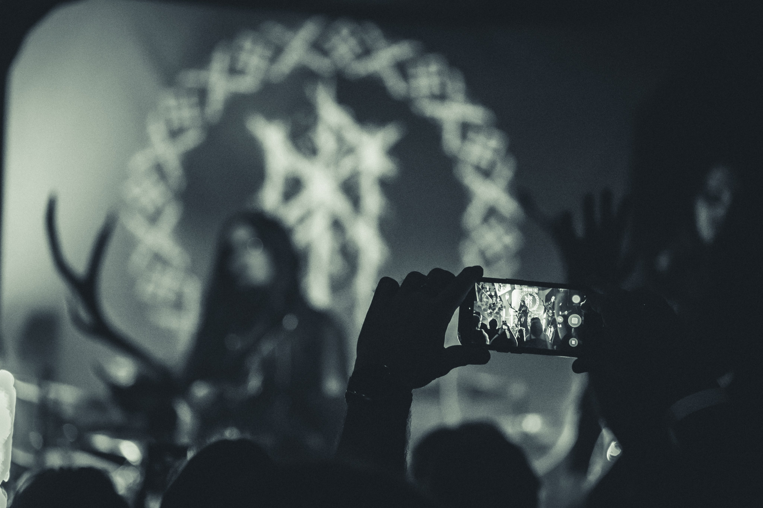 Мещера, Эрмитаж, 22.02.2026. Фотограф Регина Крикунова г. Красноярск