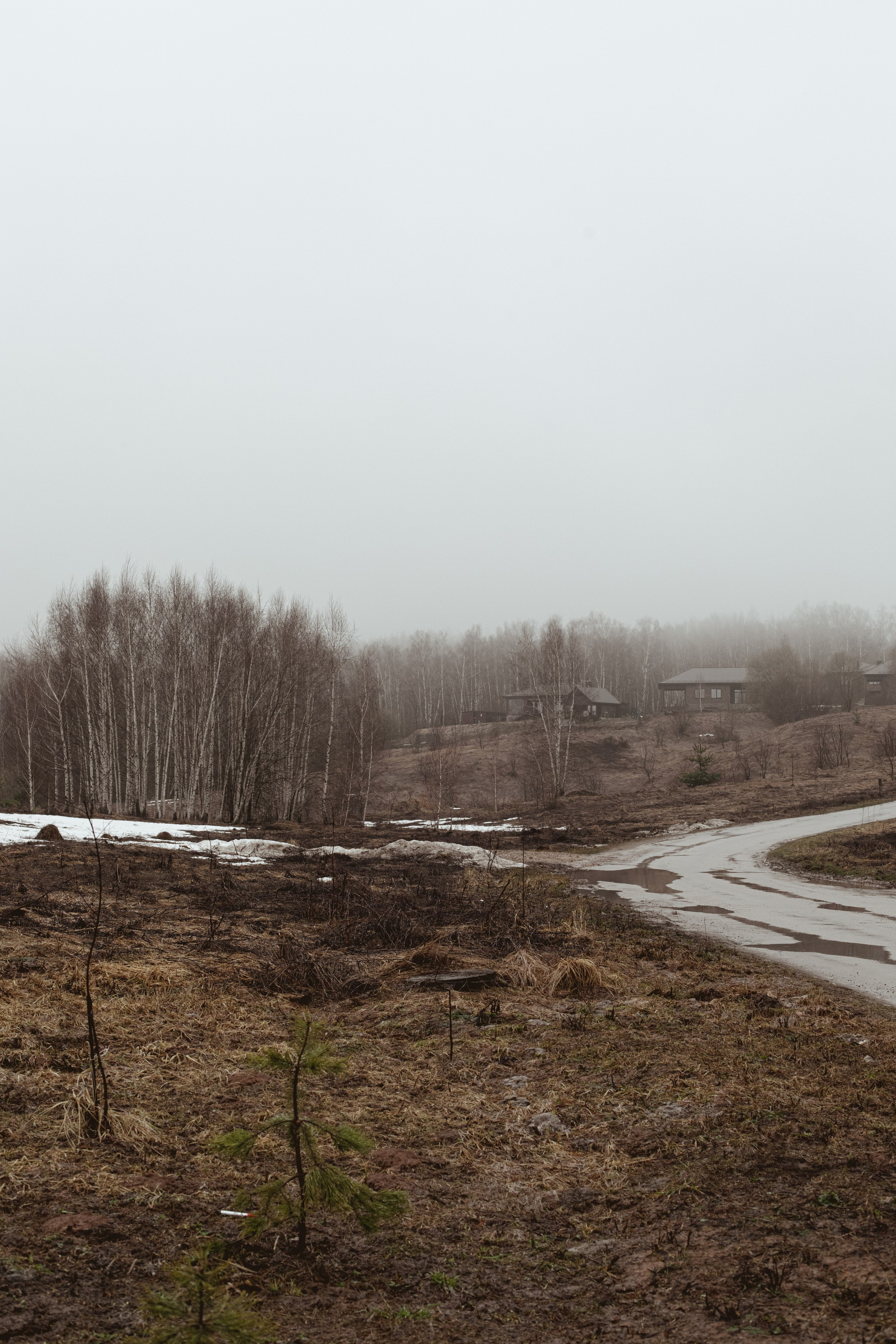 Природа просыпается от зимней спячки, апрель 2026. Фотограф Эльмира Лин