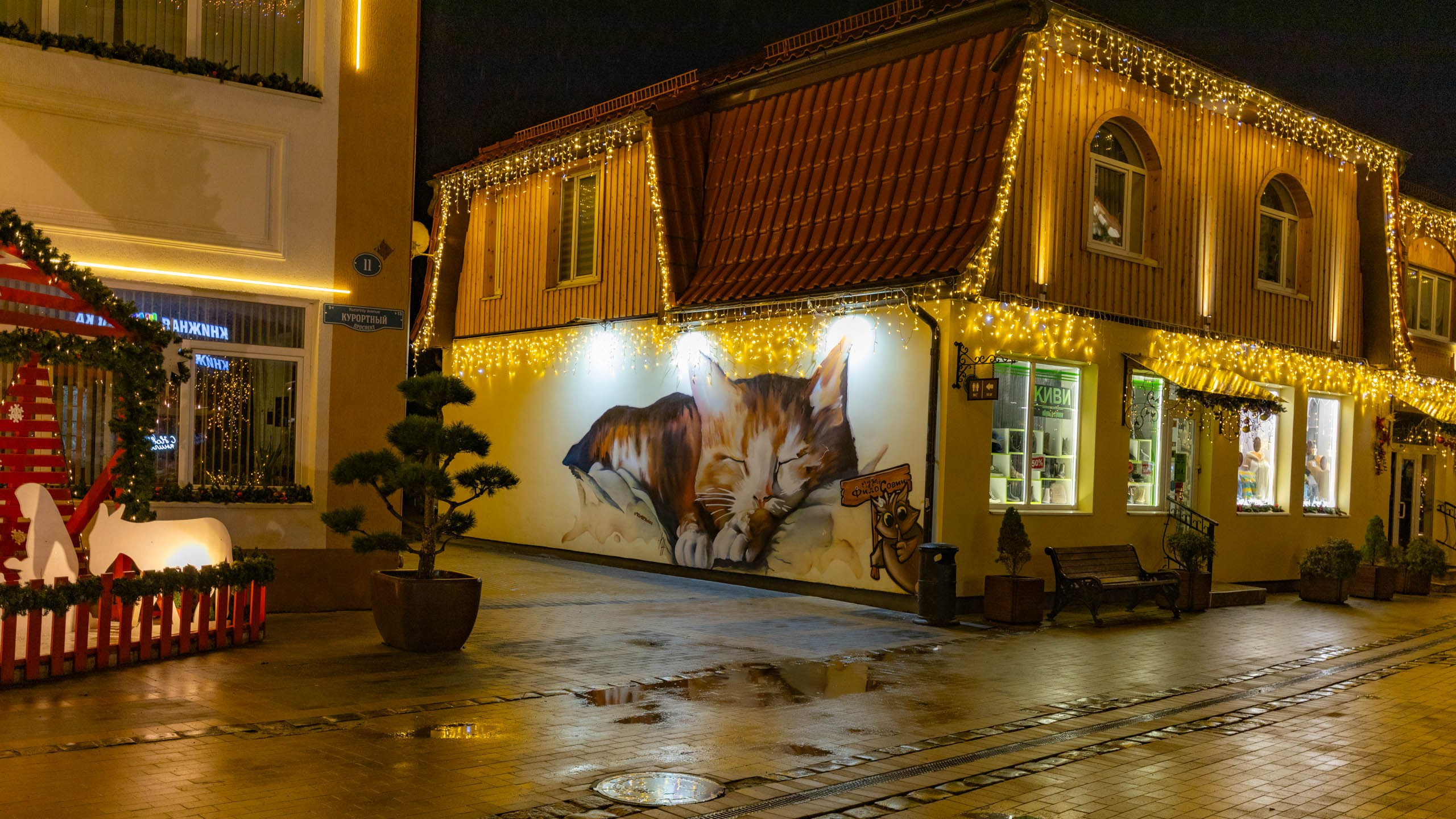 2024 01 Калининград (Светлогорск, Зеленоградск). Фотографии