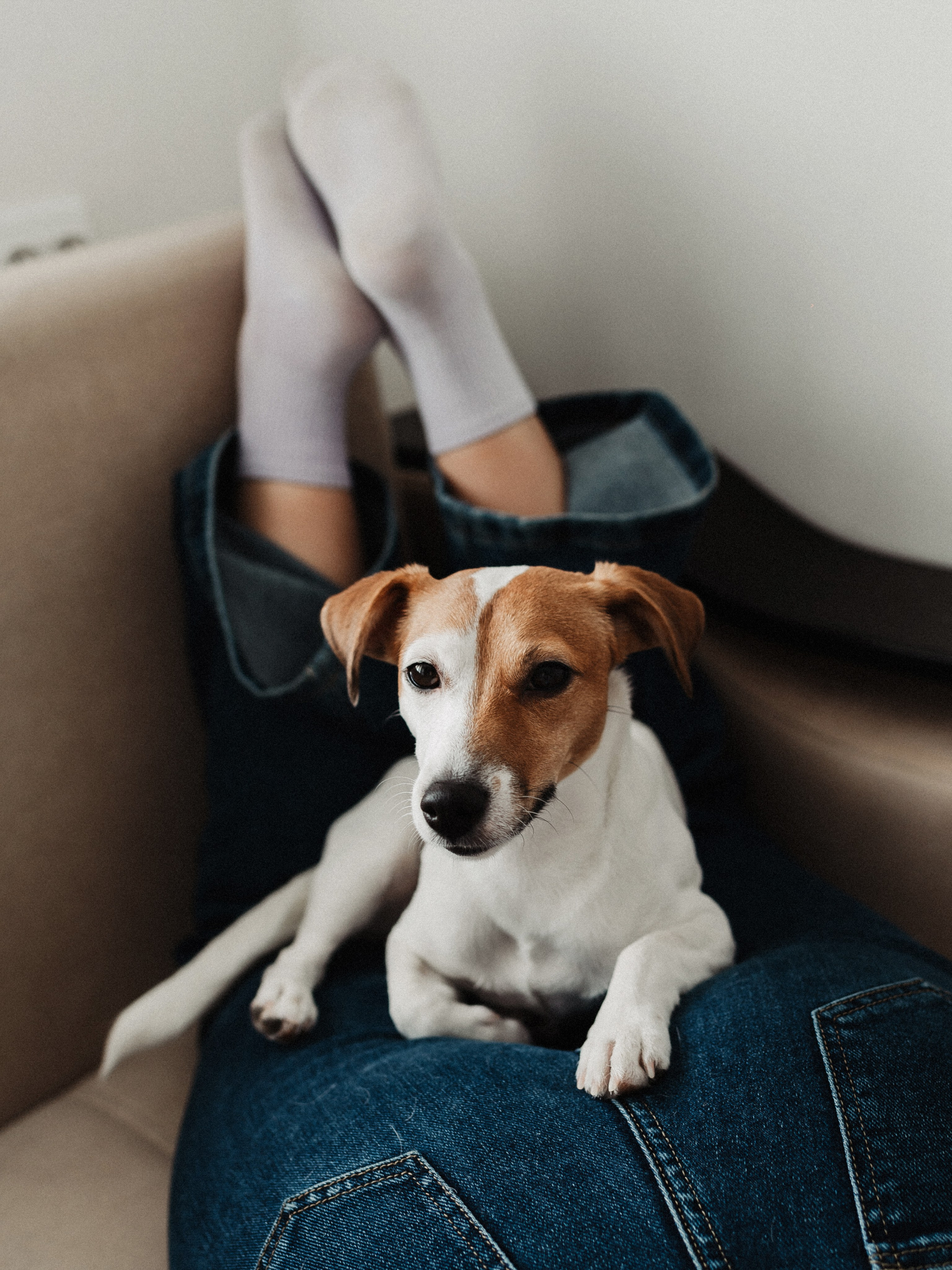 Яна и Лёша. Свадебный и семейный фотограф в Самаре Надежда Раскина