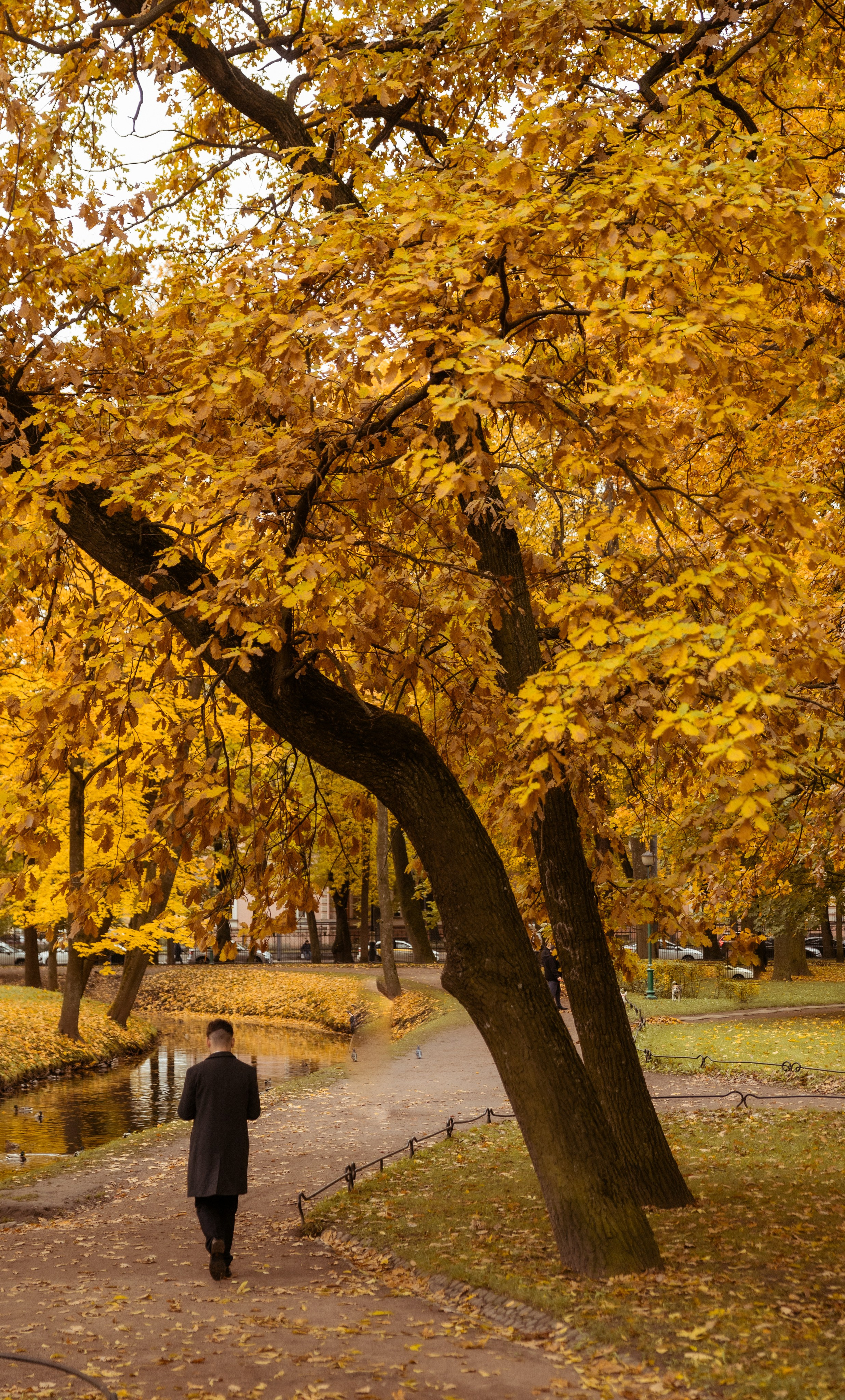 Свадьба Василия и Ольги. Photographer in Tbilisi Saint-Petersburg Worldwide — Elena Golubeva