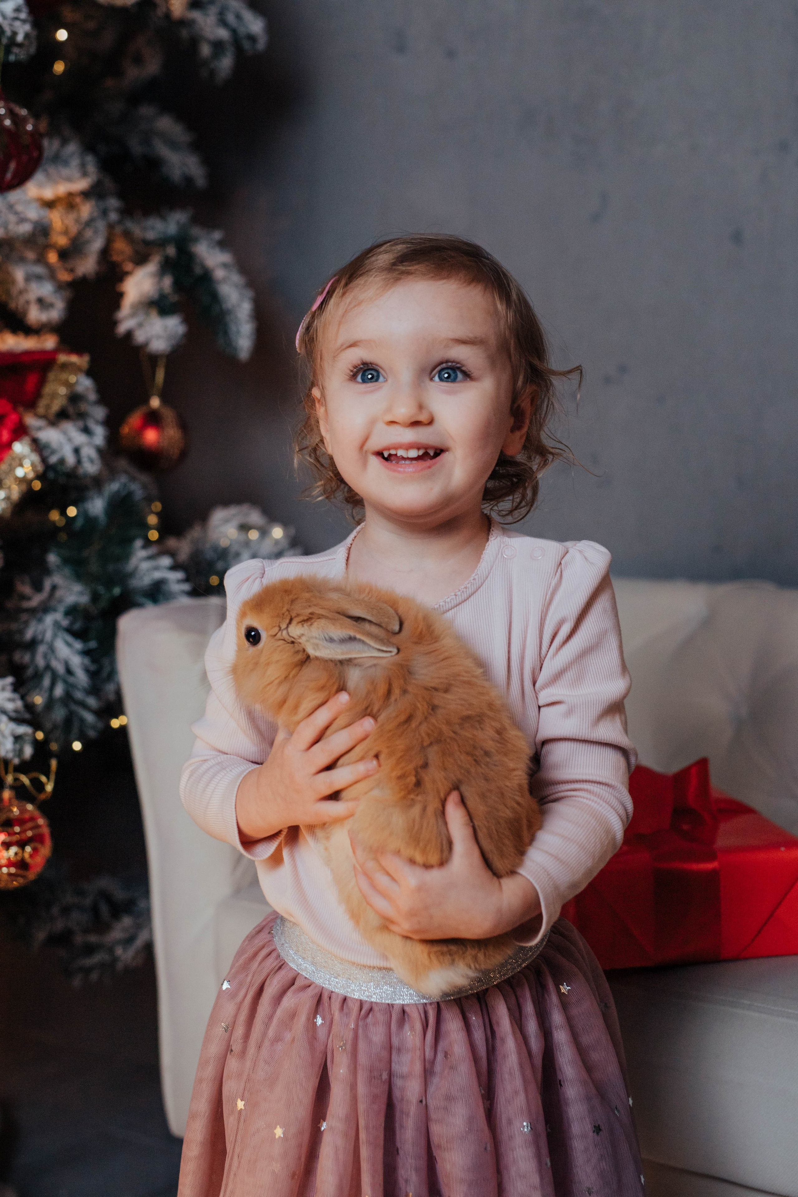Новогодние фотосесии. Семейный фотограф в Обнинске Вера Весенняя