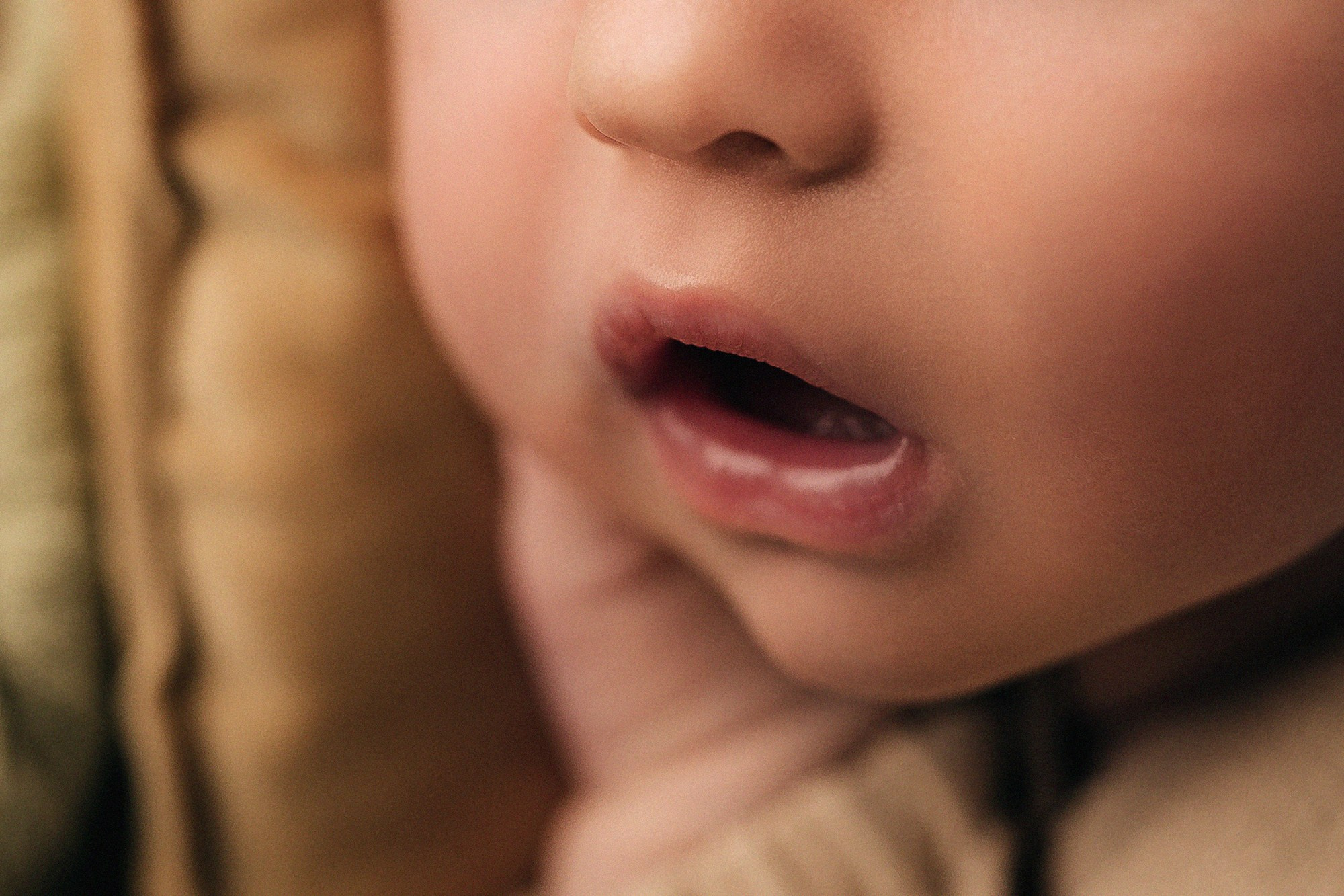 Лев 7 дней. Семейный фотограф новорождённых в Серпухове Юлия Новикова +79637785957