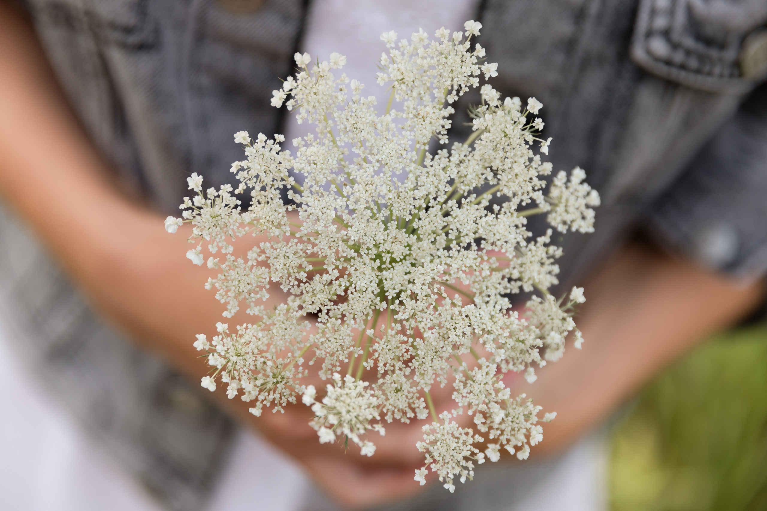 Евгения. Свадебный и семейный фотограф Егорова Юлия