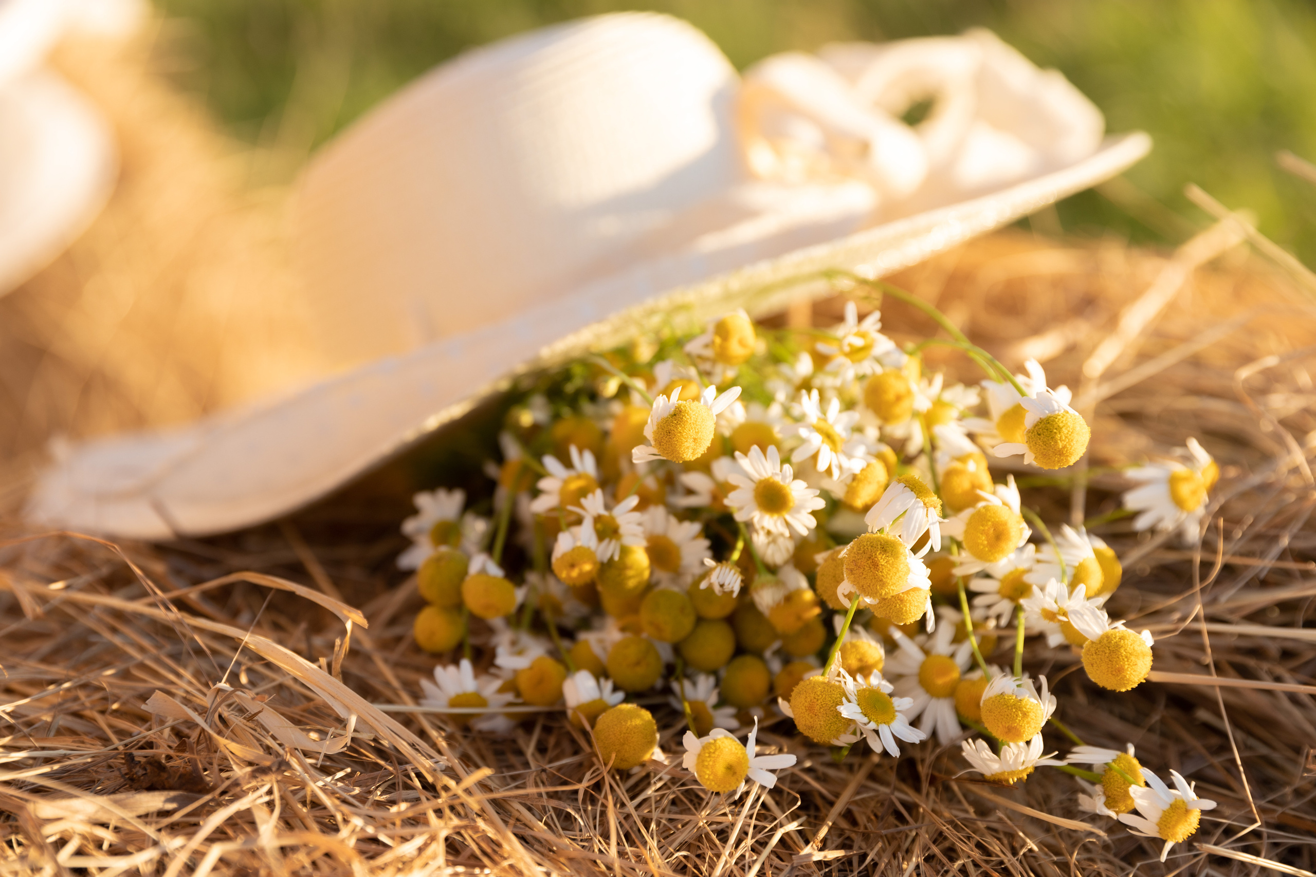 Ирина. Свадебный и семейный фотограф Егорова Юлия