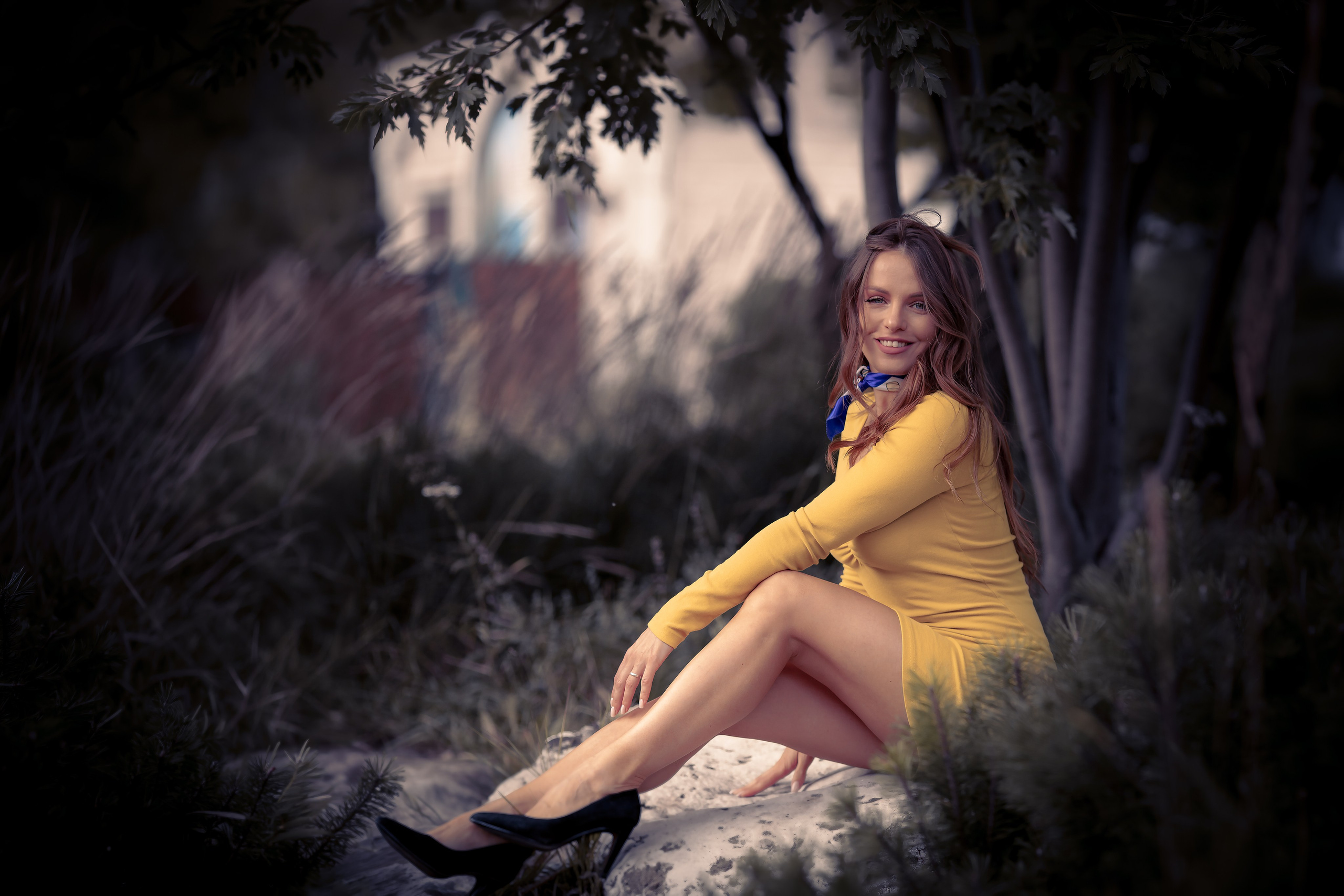 Abirdins photography
