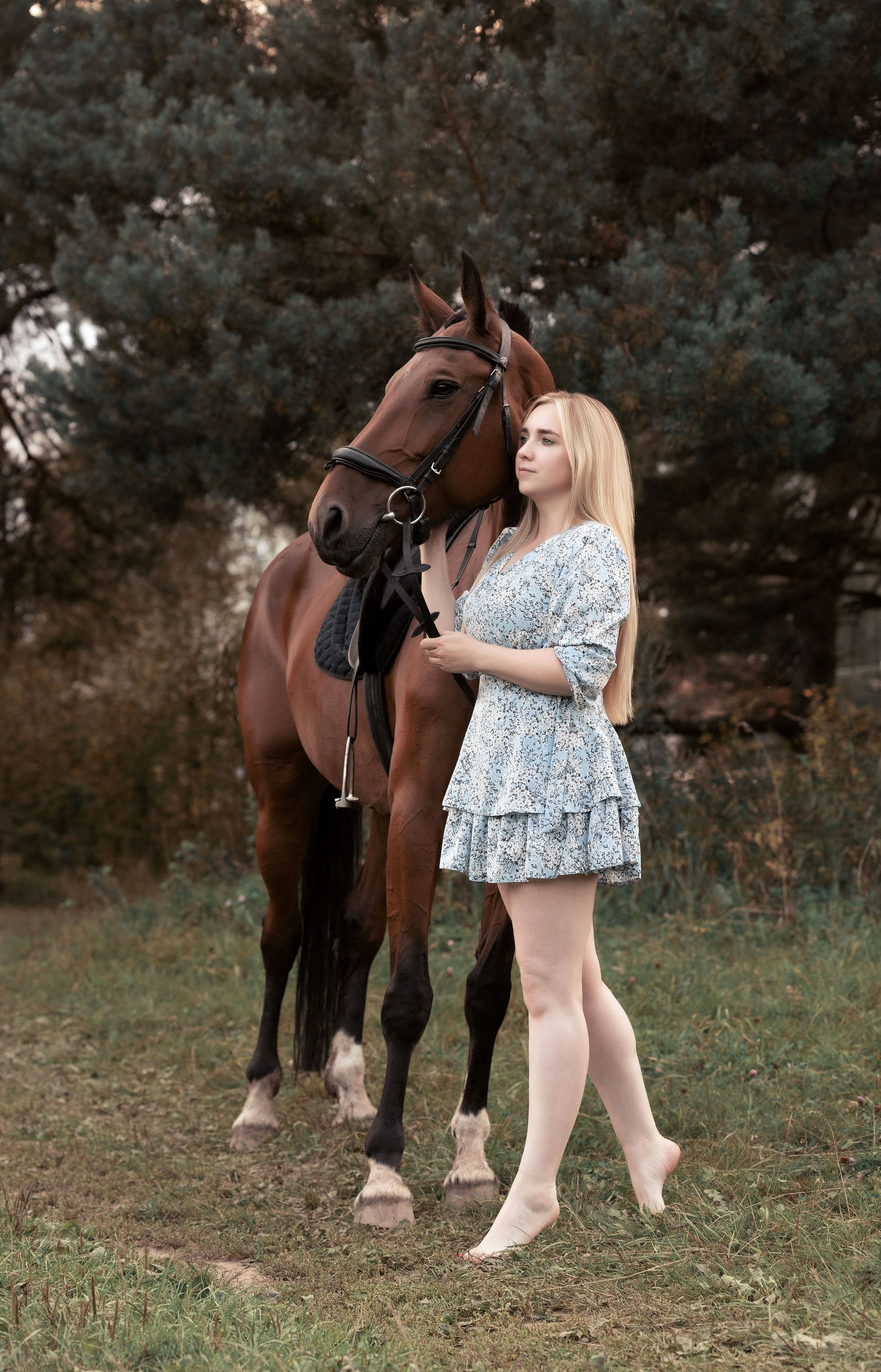 Фото с лошадьми. Фотограф в Калуге фотосессии с лошадьми в Калуге Грешнова Ольга