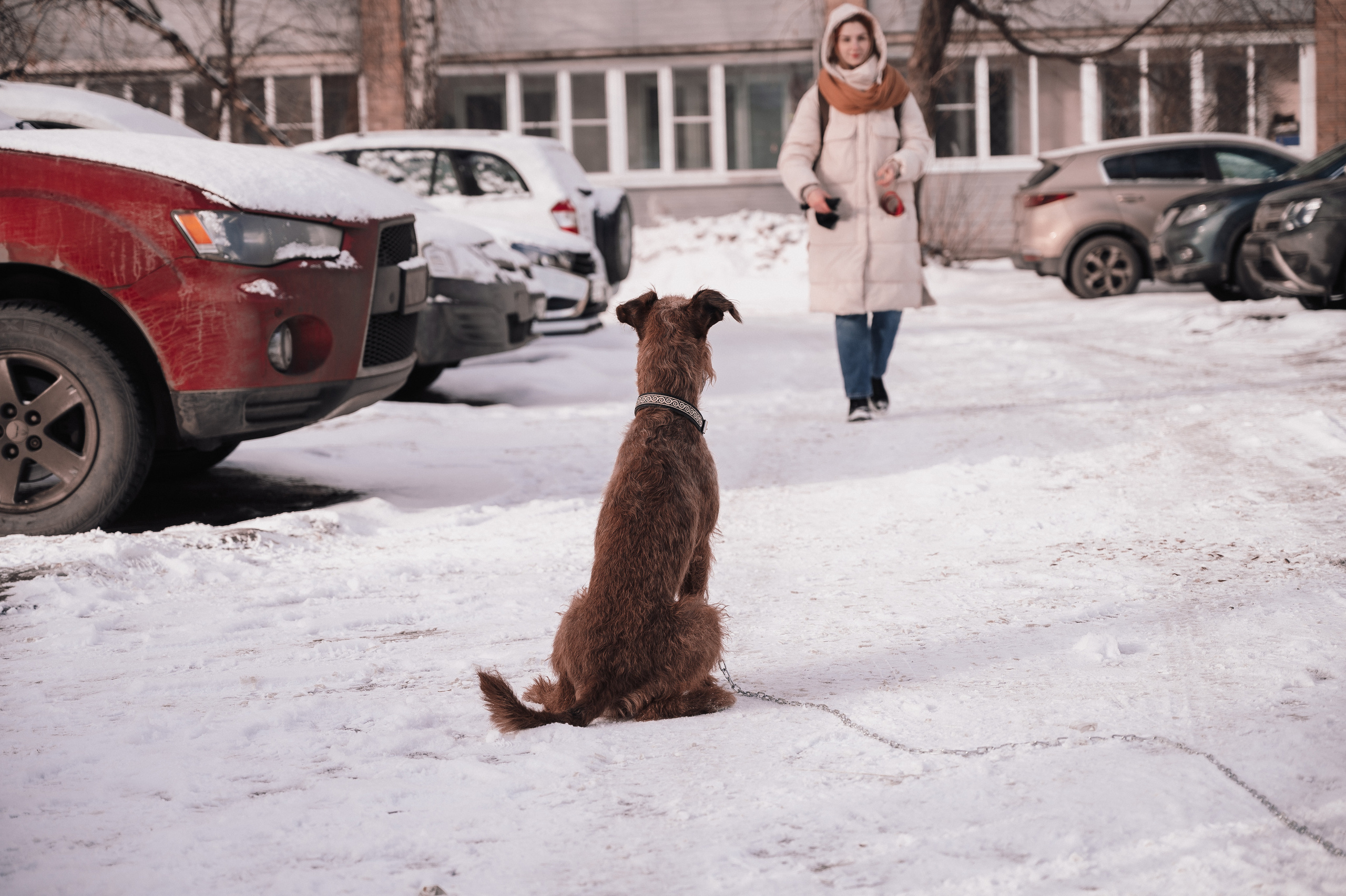 Все будет как раньше. Фотограф Мария