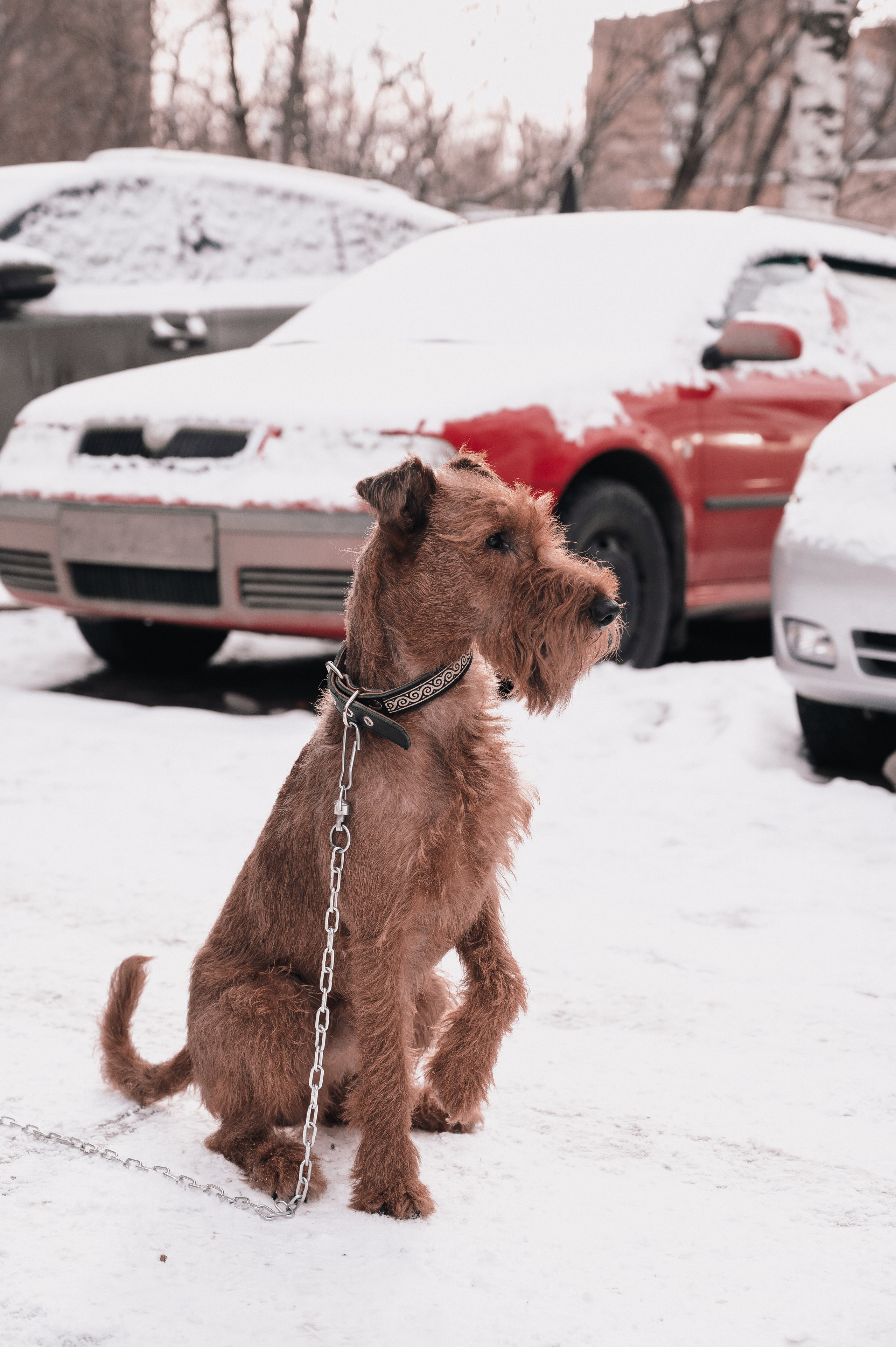 Все будет как раньше. Фотограф Мария