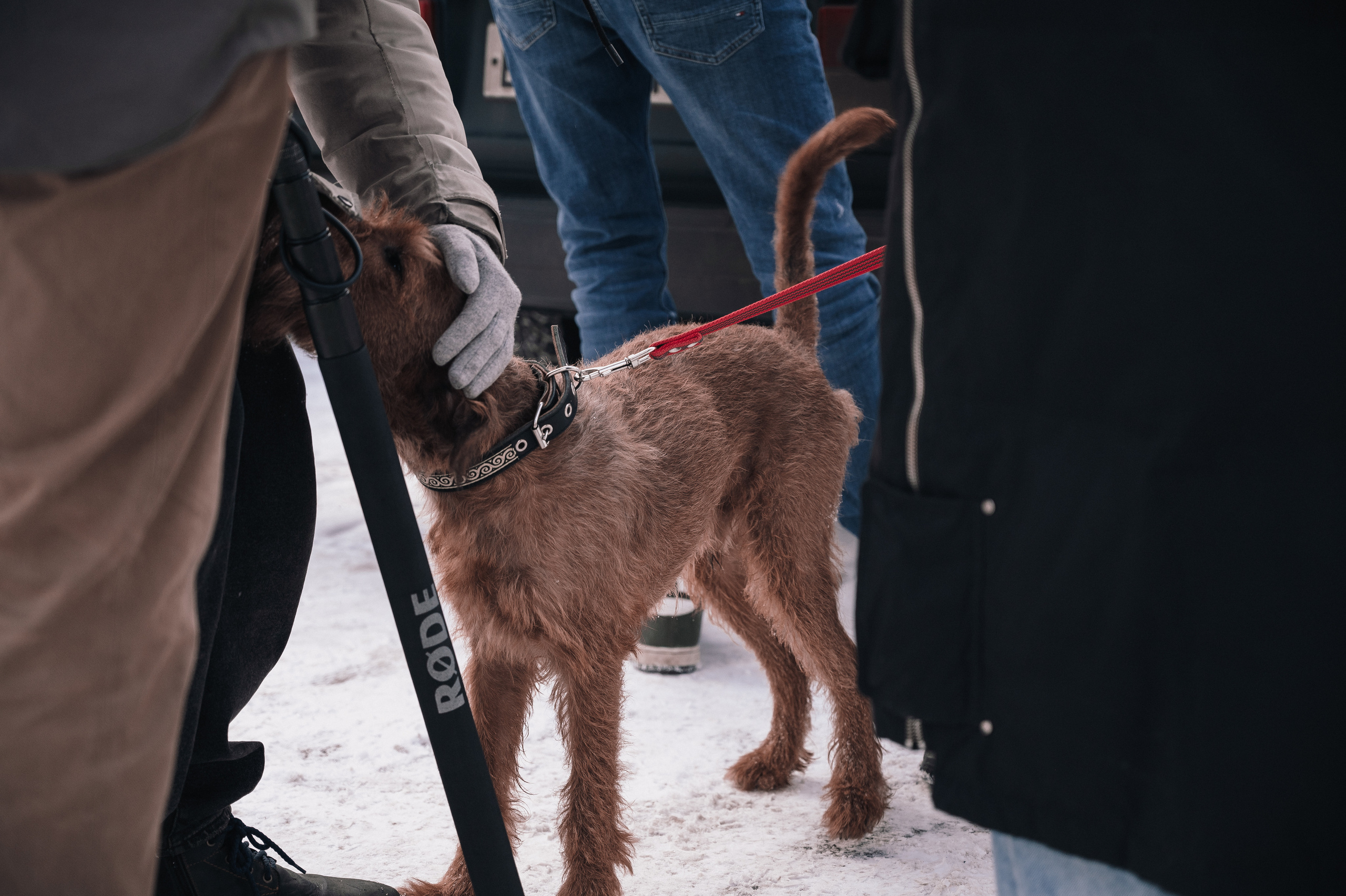 Все будет как раньше. Фотограф Мария