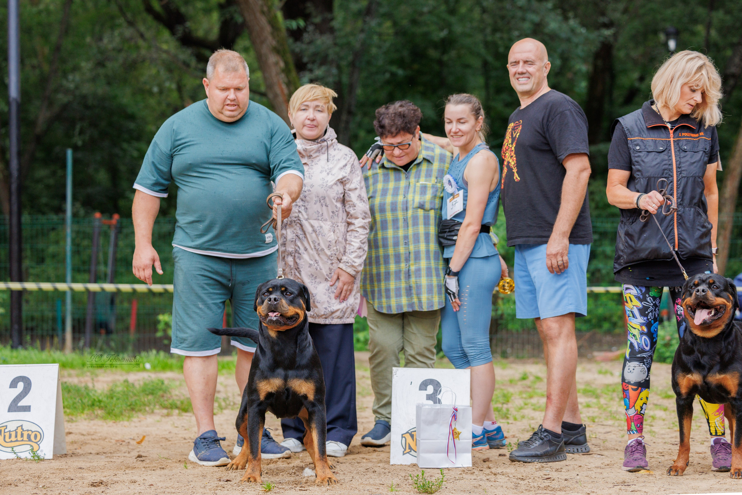 Рязань-Ховрино 10-11.08.2024 3хмоно ротвейлеров. Фотограф-анималист Юлия Германика