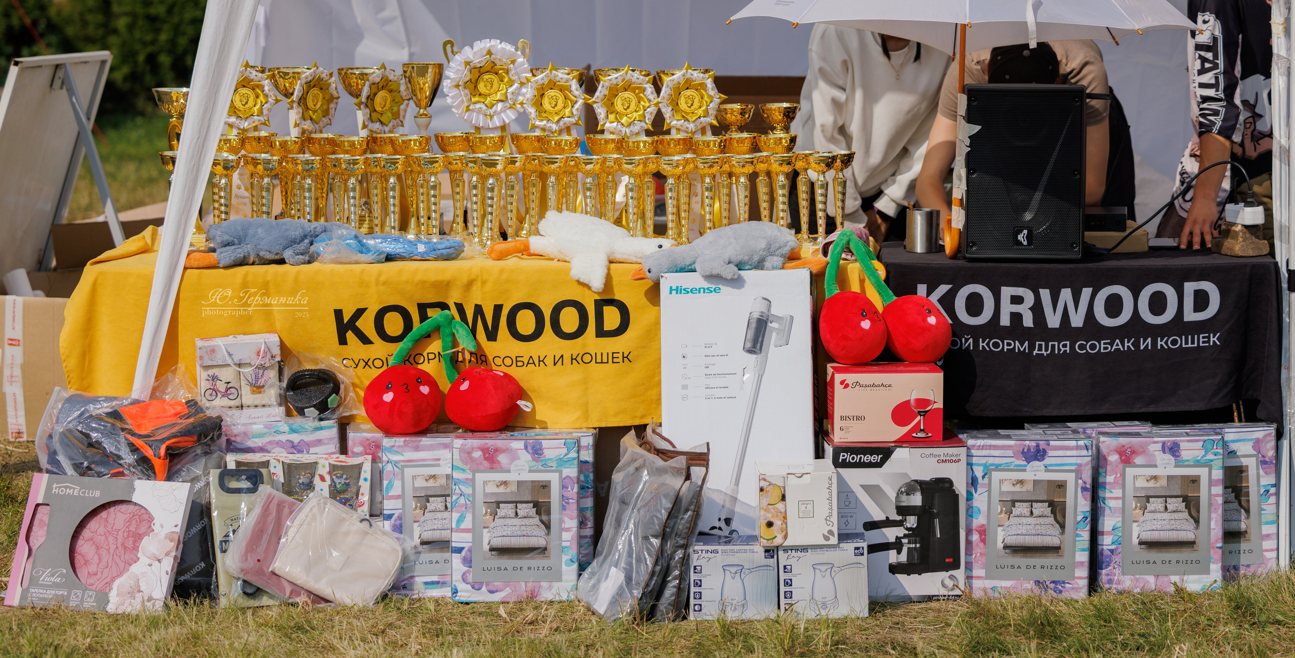 Рязань 2хмоно ротвейлеры 16-17.08.2025. Фотограф-анималист Юлия Германика