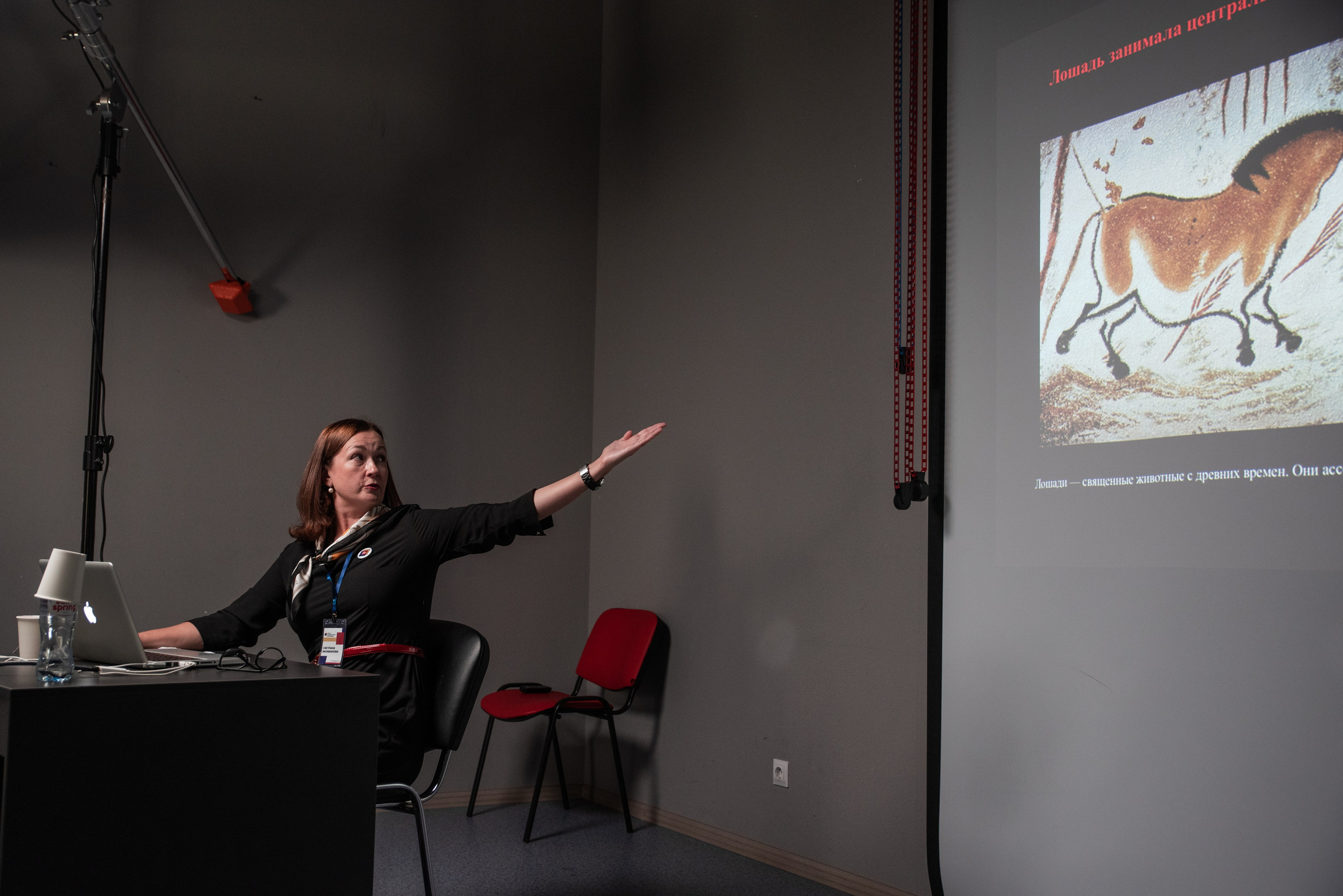 Конный фотограф  Светлана Балабанова на лекции, показывает изображение лошади